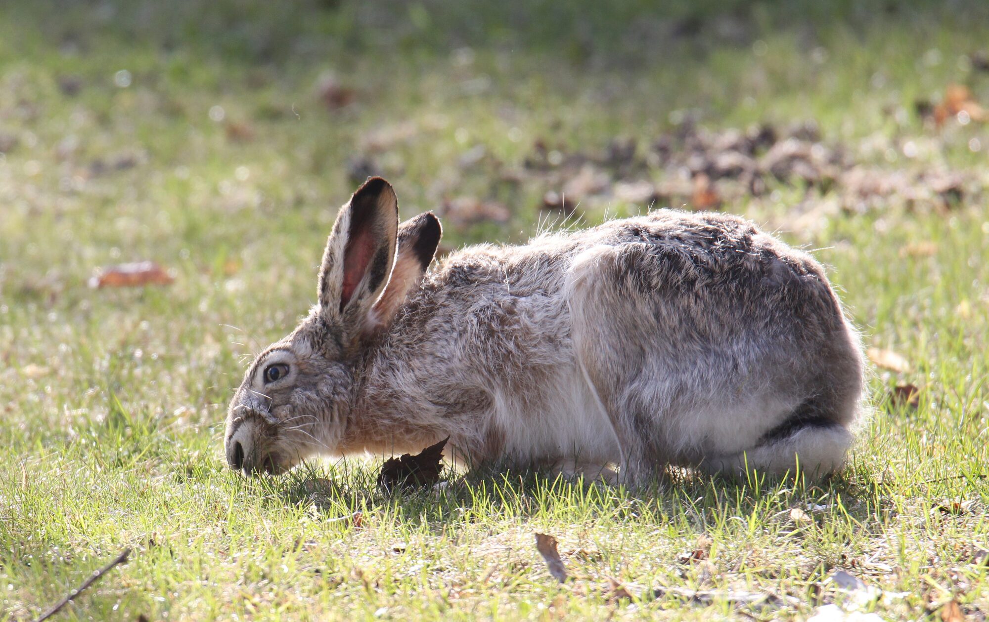Valokuvaaja: Jaana Saarelainen
