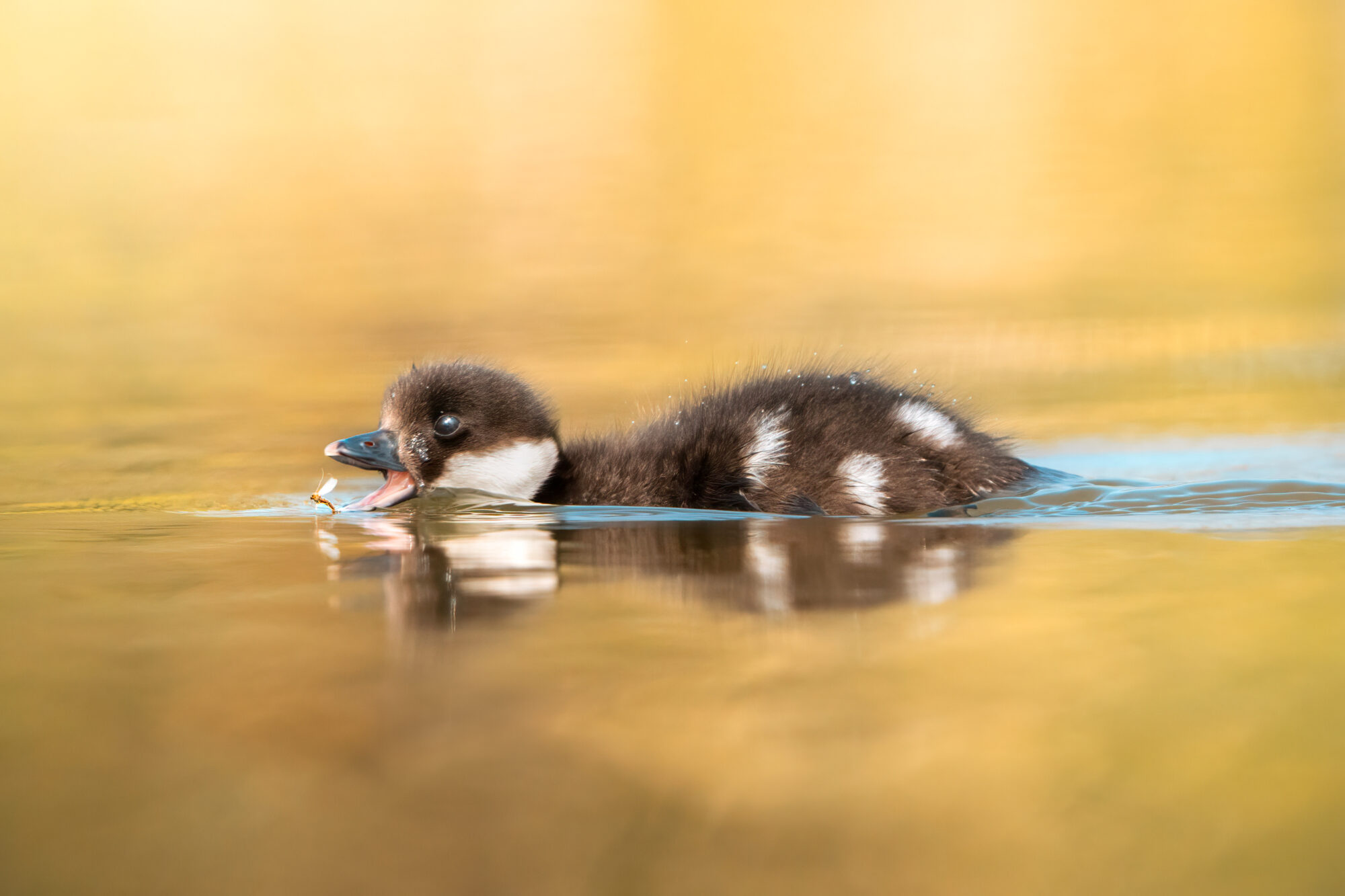 Valokuvaaja: Laura Lehtola