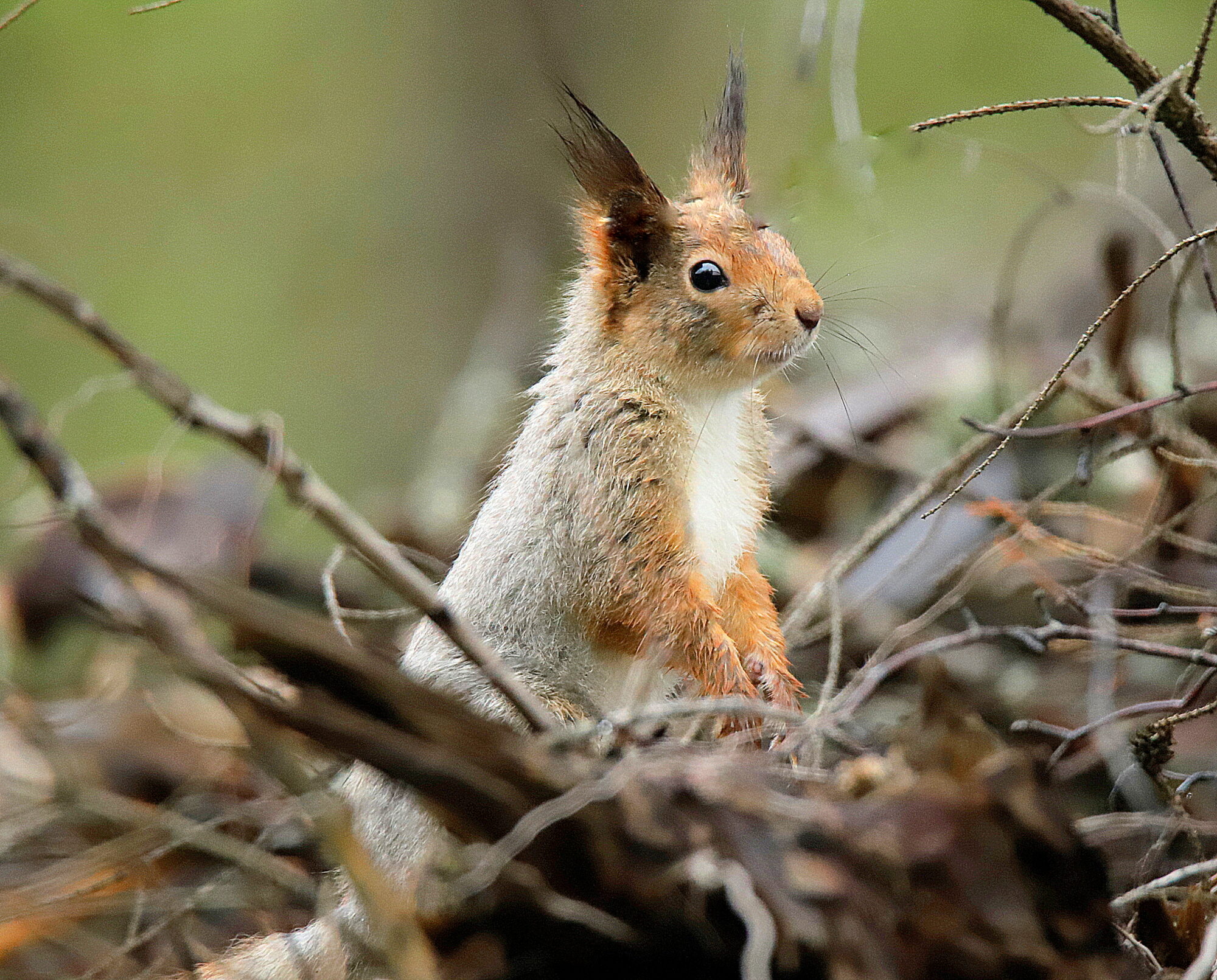 Valokuvaaja: sirpa jyske