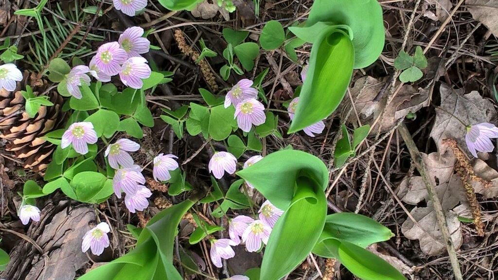 Valokuvaaja: Tuija Lehtinen