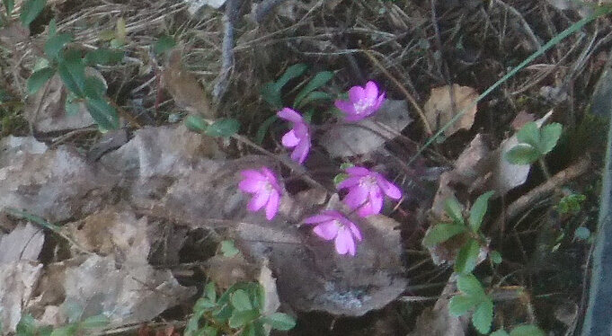 Valokuvaaja: Barry Brown Valokuvaaja: Barry Brown