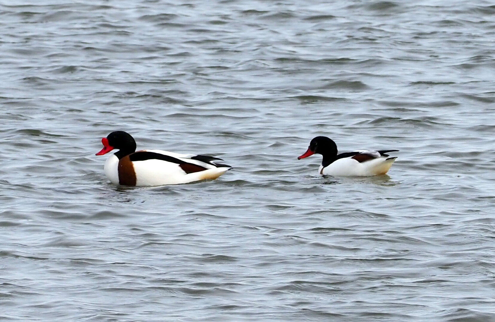 Valokuvaaja: Kari Aaltonen Valokuvaaja: Kari Aaltonen