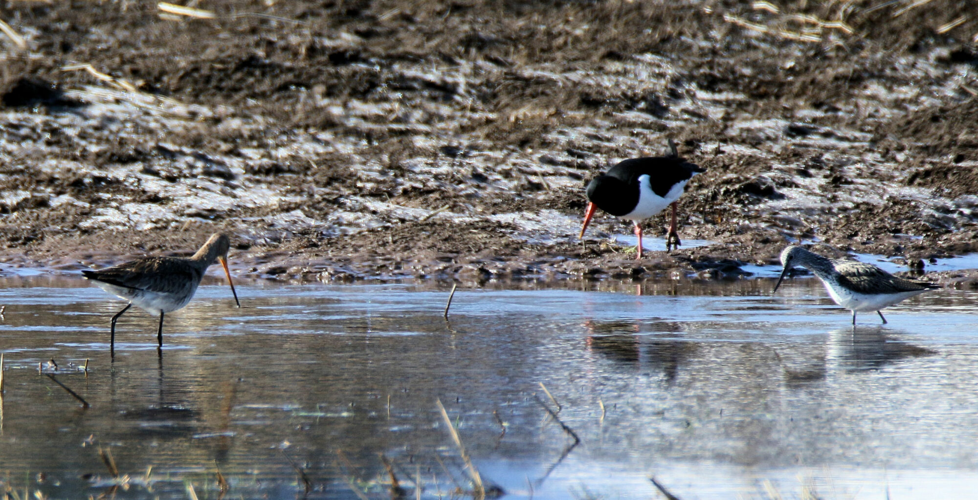Valokuvaaja: Ahti Keränen