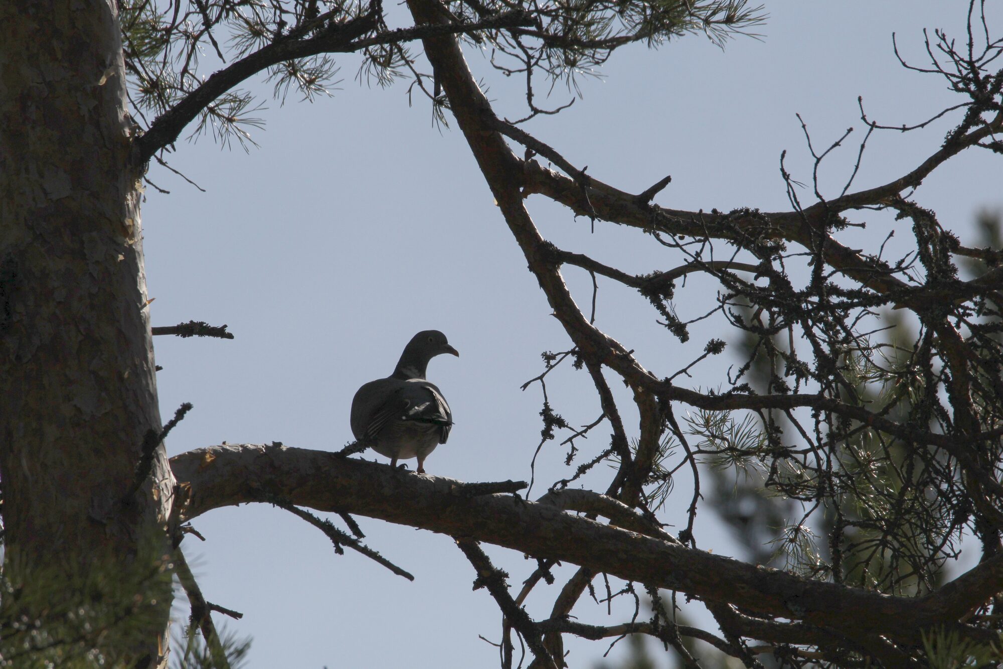 Valokuvaaja: Jaana Saarelainen