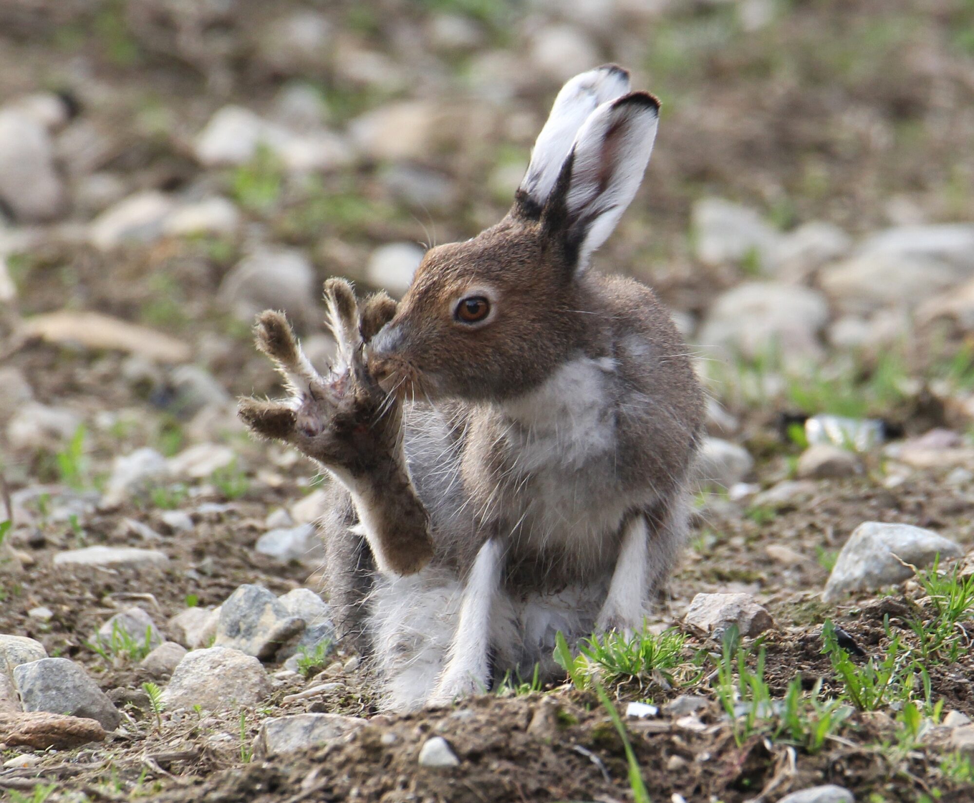 Valokuvaaja: Jaana Saarelainen