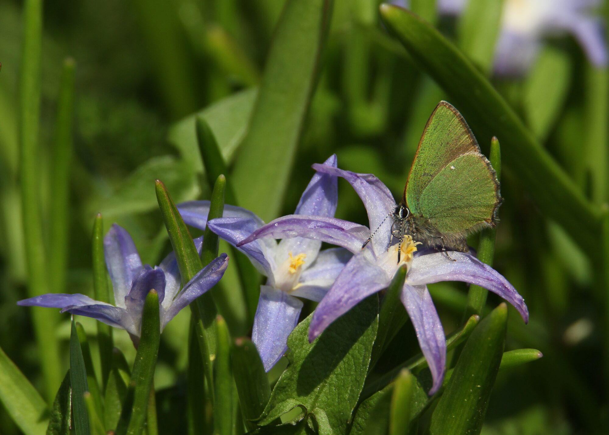 Valokuvaaja: Jaana Saarelainen