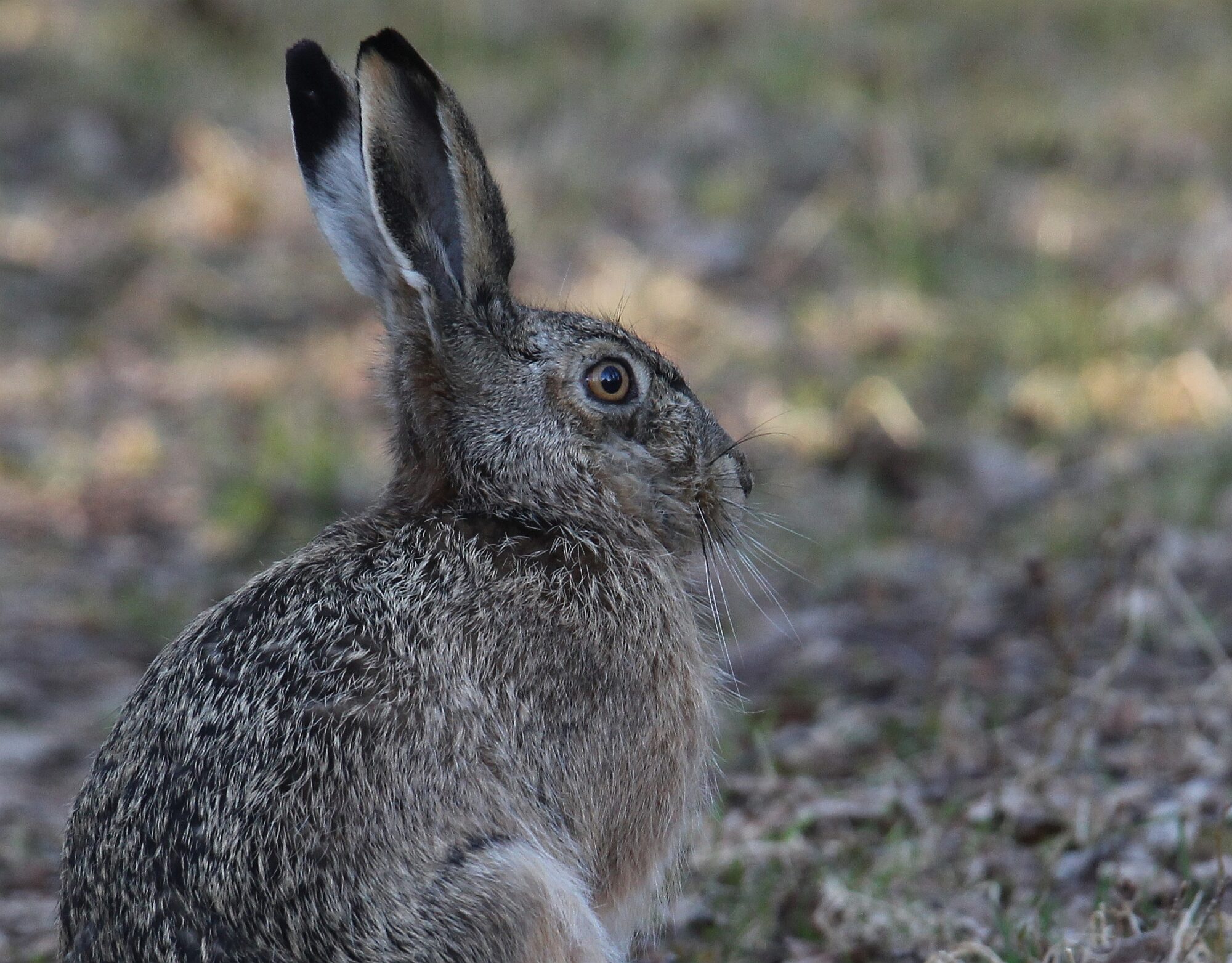 Valokuvaaja: Jaana Saarelainen
