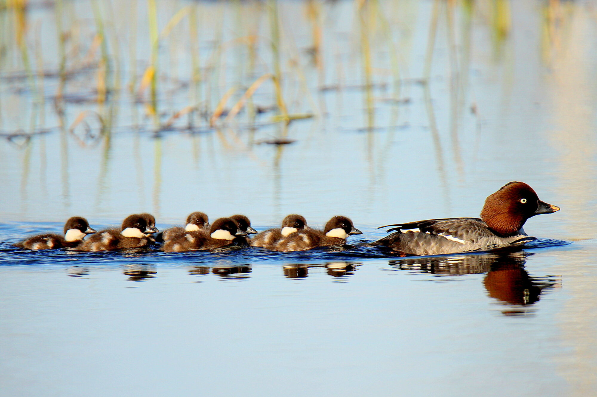 Valokuvaaja: sirpa jyske