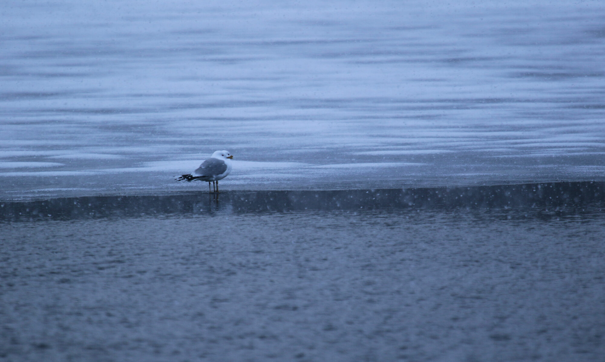 Valokuvaaja: Ahti Keränen