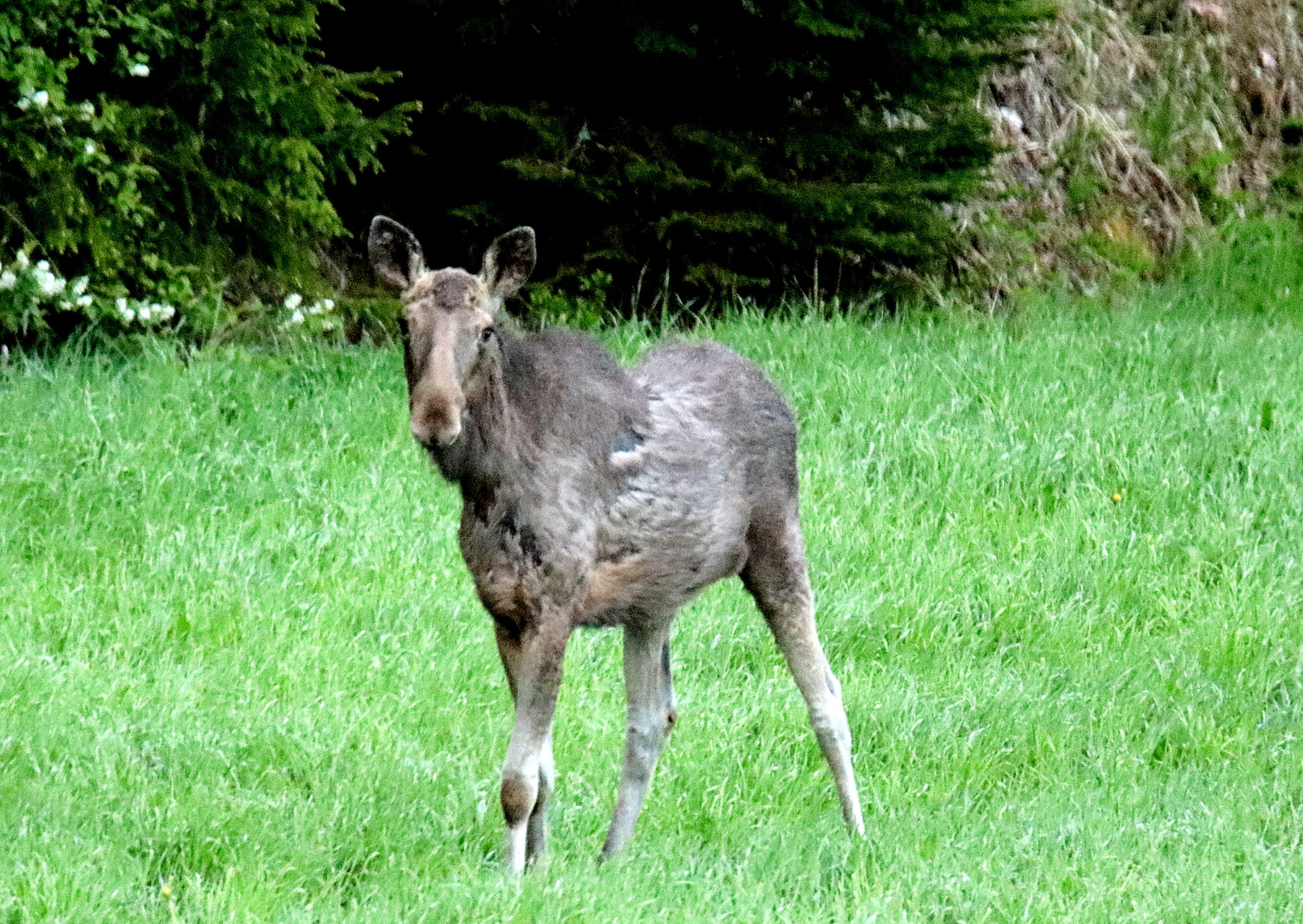 Valokuvaaja: sirpa jyske