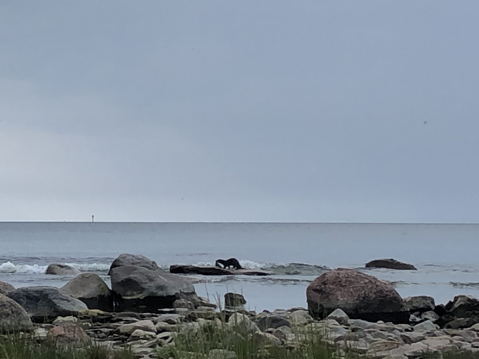 Valokuvaaja: Jonna Gröndahl