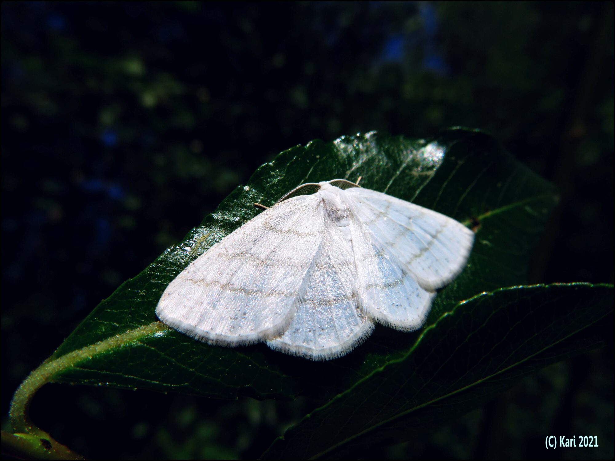 Valokuvaaja: Kari Saarinen