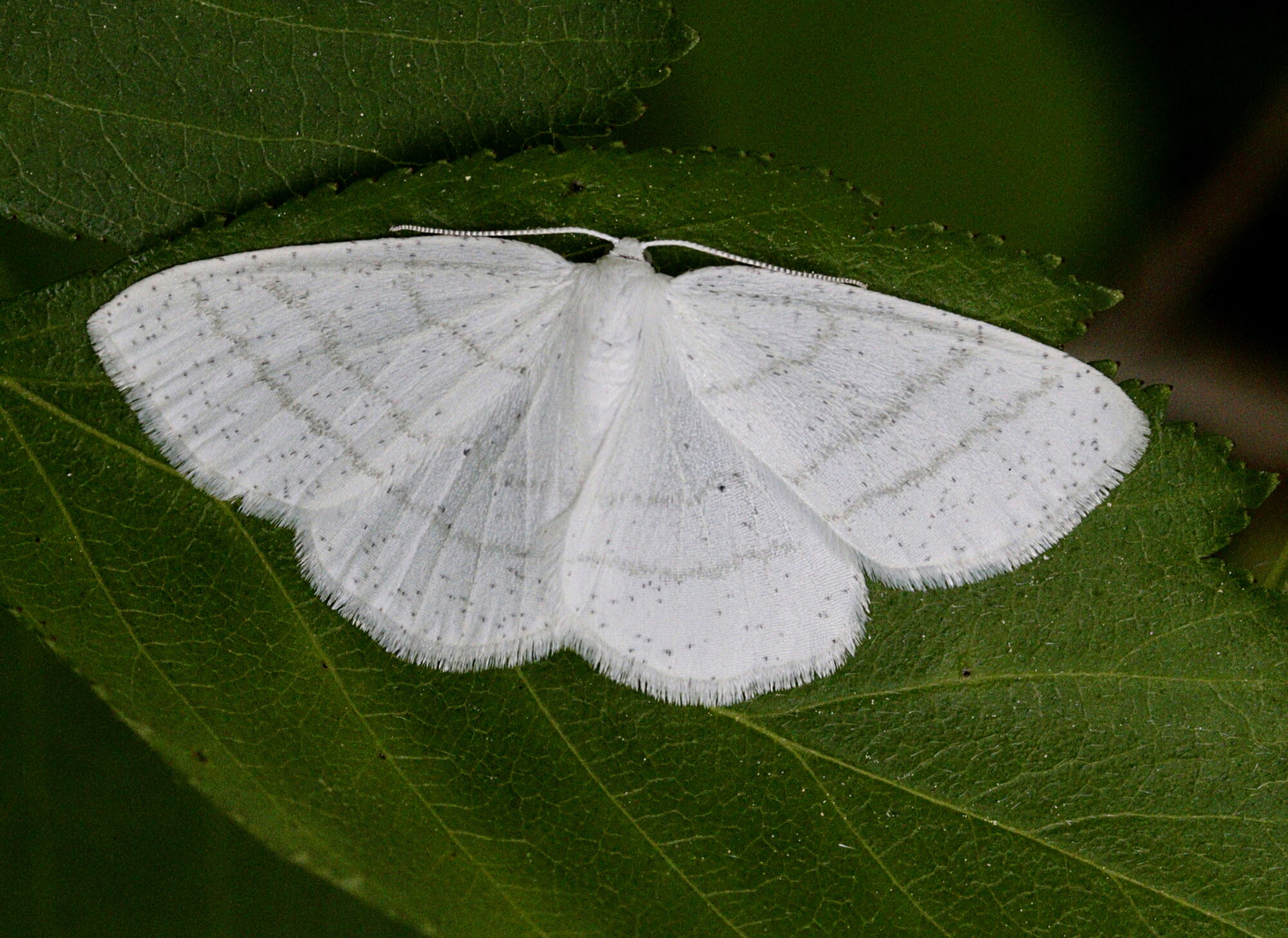 Valokuvaaja: Ritva Nieminen