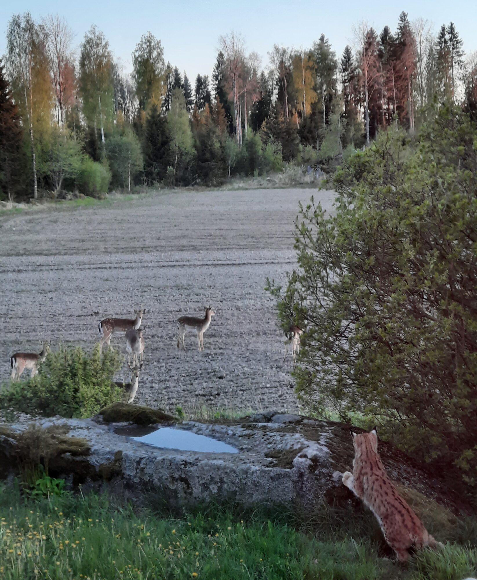 Valokuvaaja: Riitta Nummelin Valokuvaaja: Riitta Nummelin
