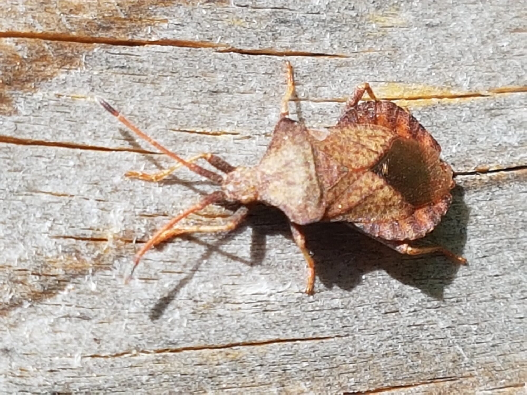 Valokuvaaja: Eeva Ollikainen