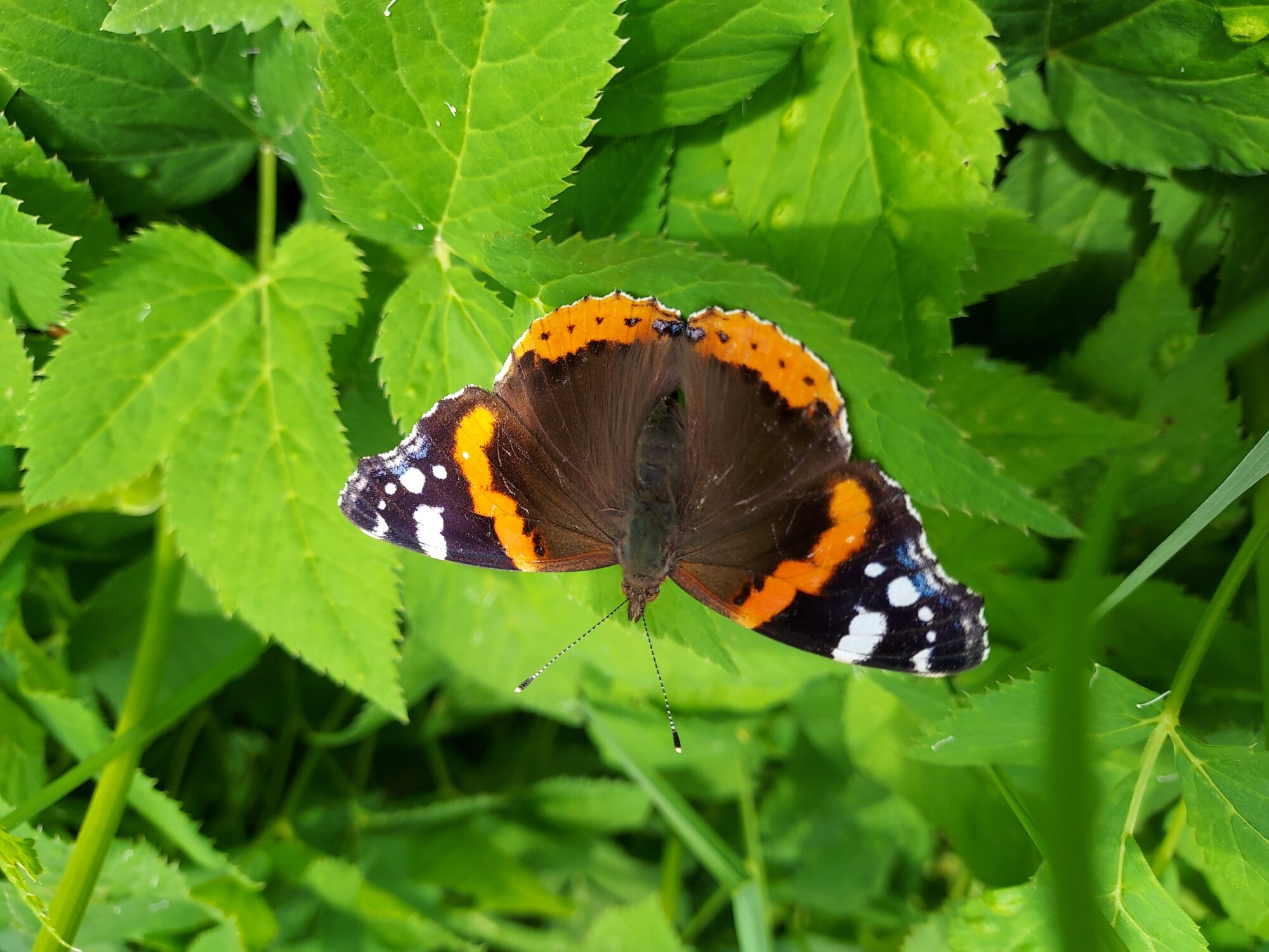 Valokuvaaja: Eija Johanna Saastamoinen