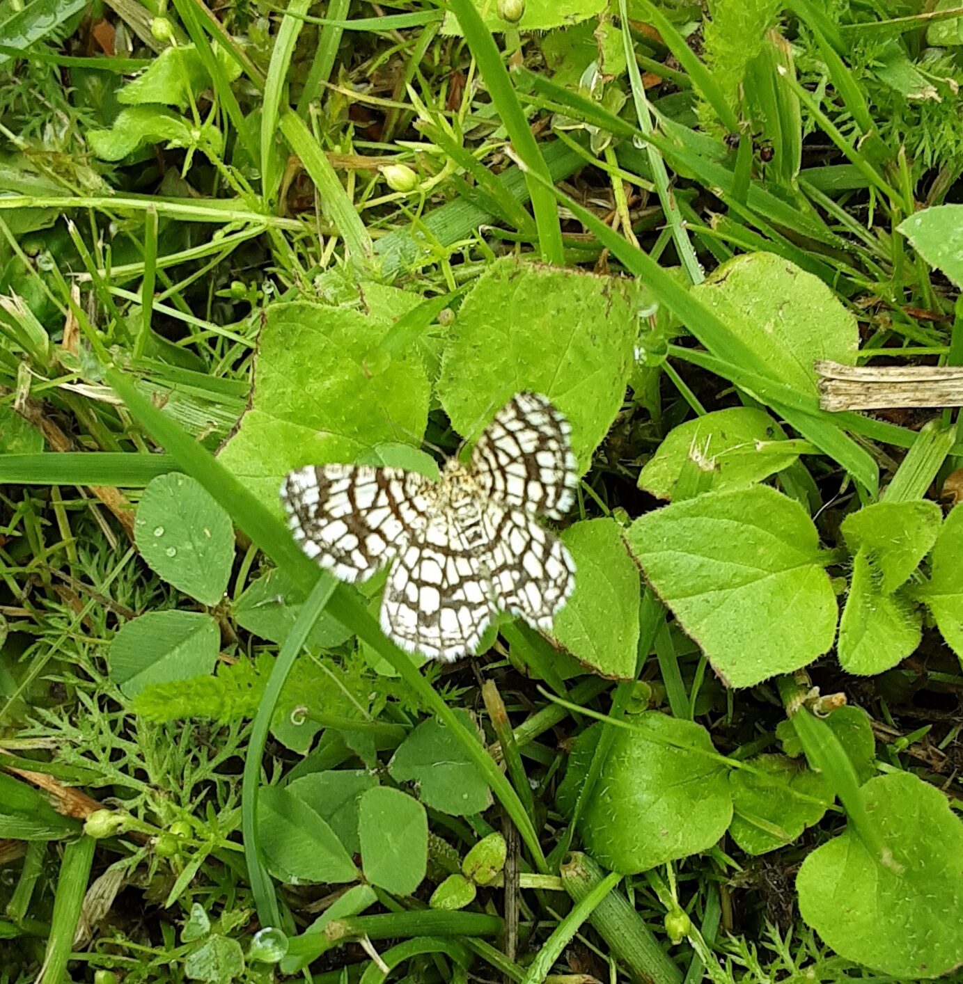 Valokuvaaja: Eija Johanna Saastamoinen