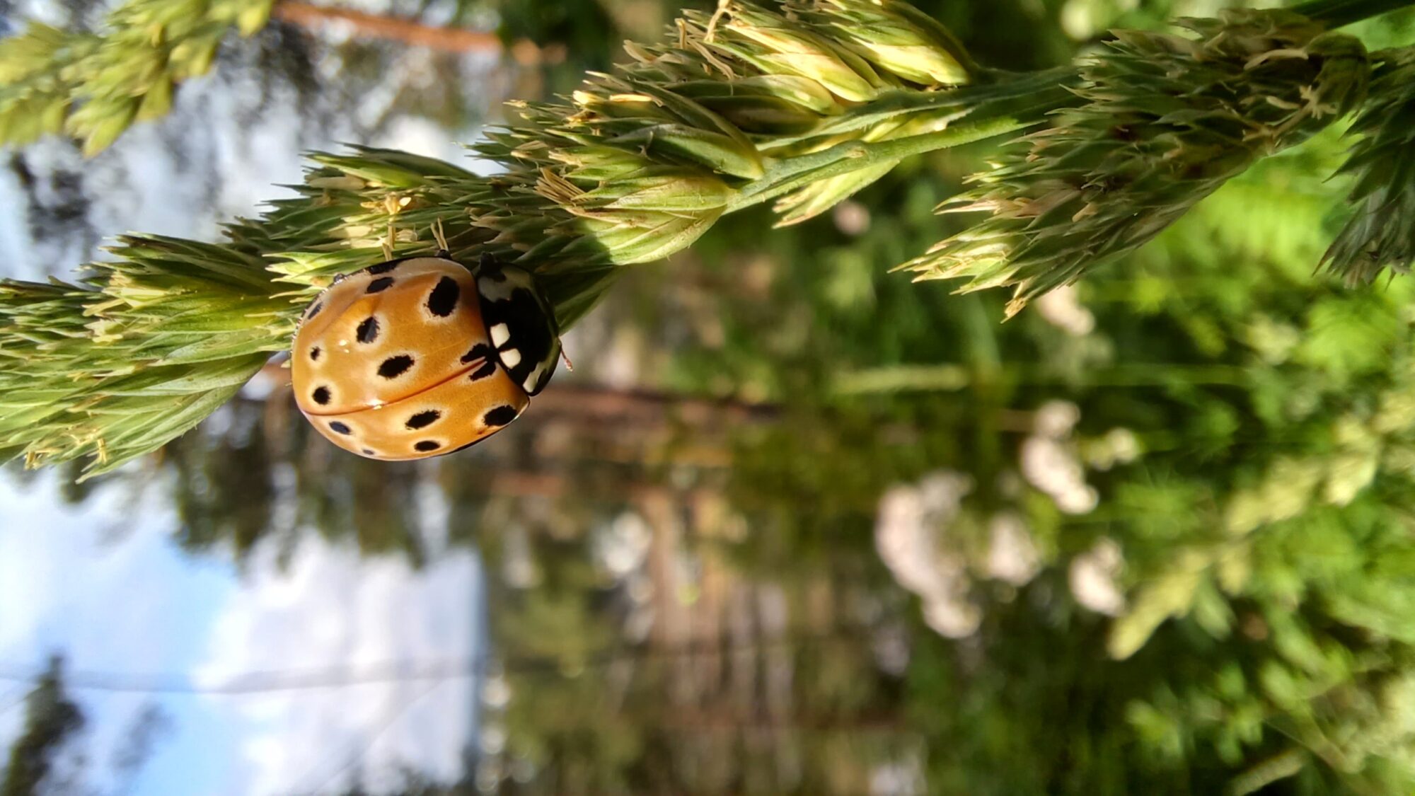 Valokuvaaja: Jarmo Mäkinen