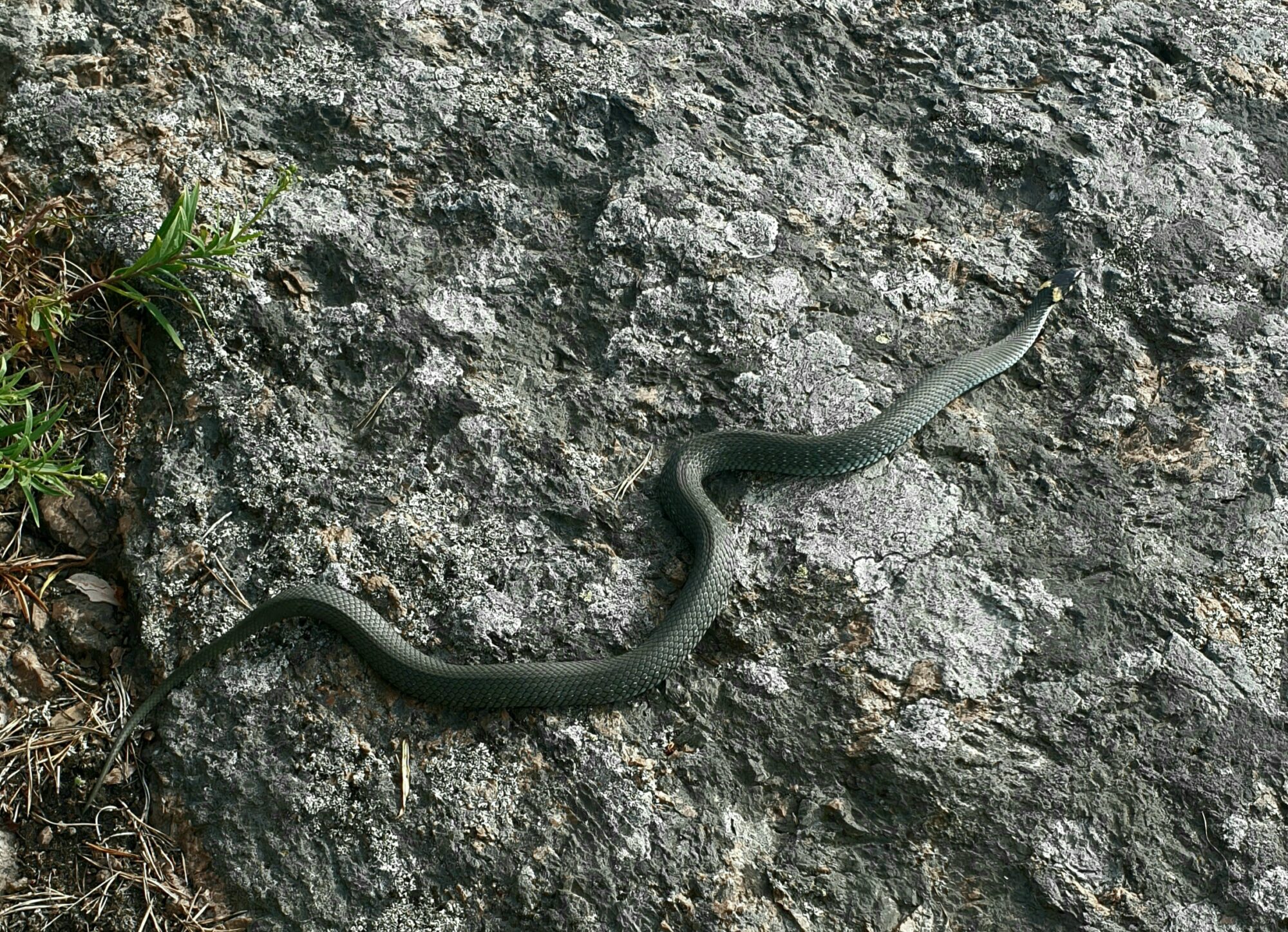 Valokuvaaja: Hanna Hirvonen