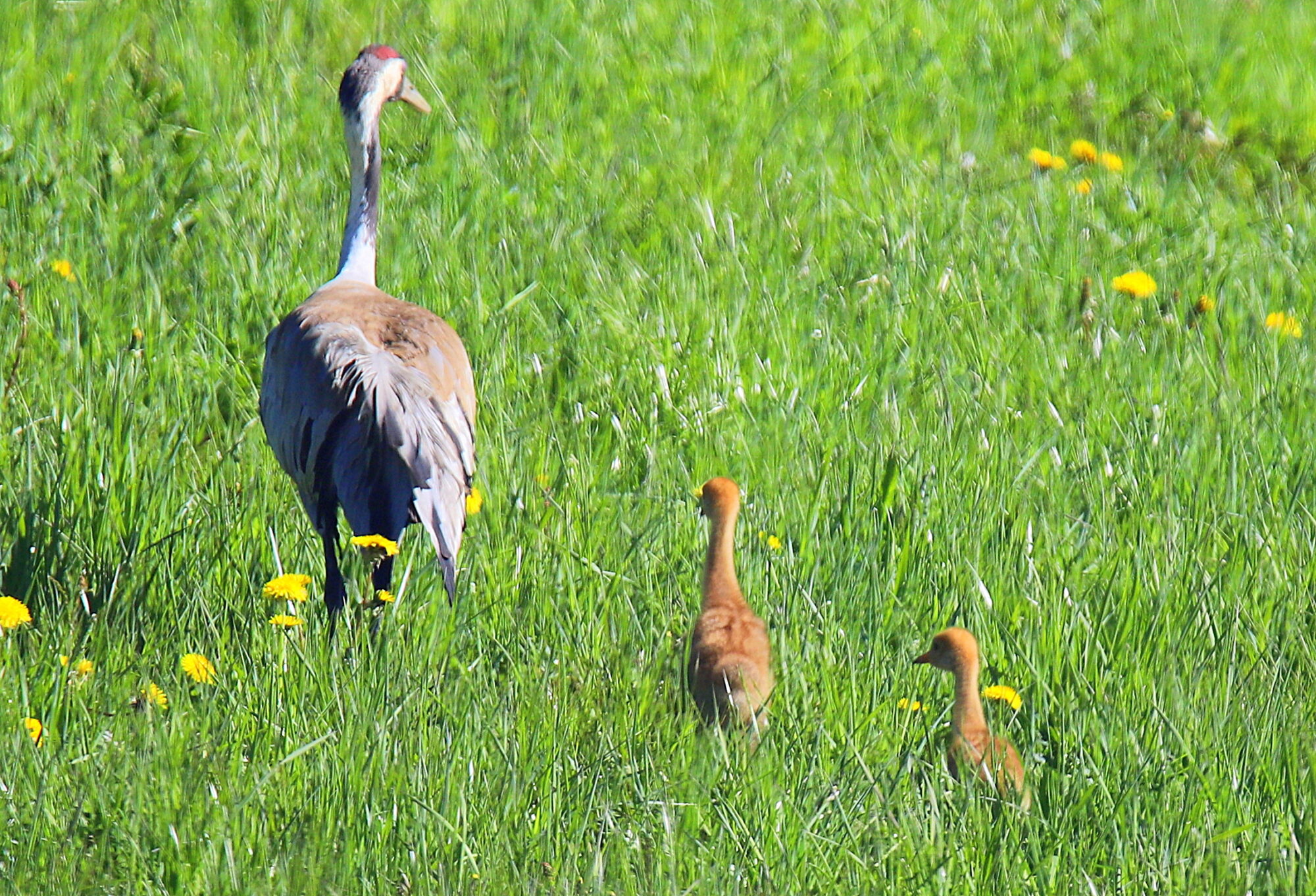 Valokuvaaja: sirpa jyske Valokuvaaja: sirpa jyske