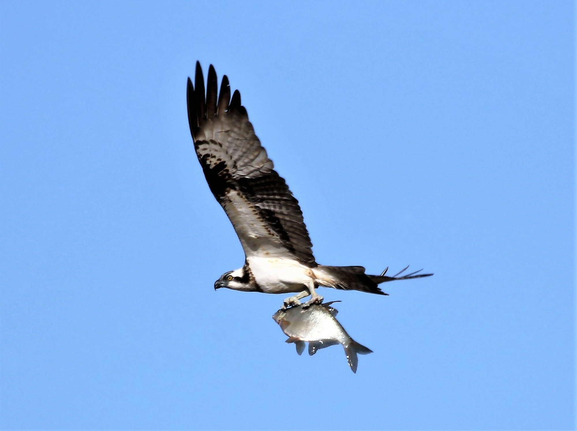 Valokuvaaja: Anne keskivinkka