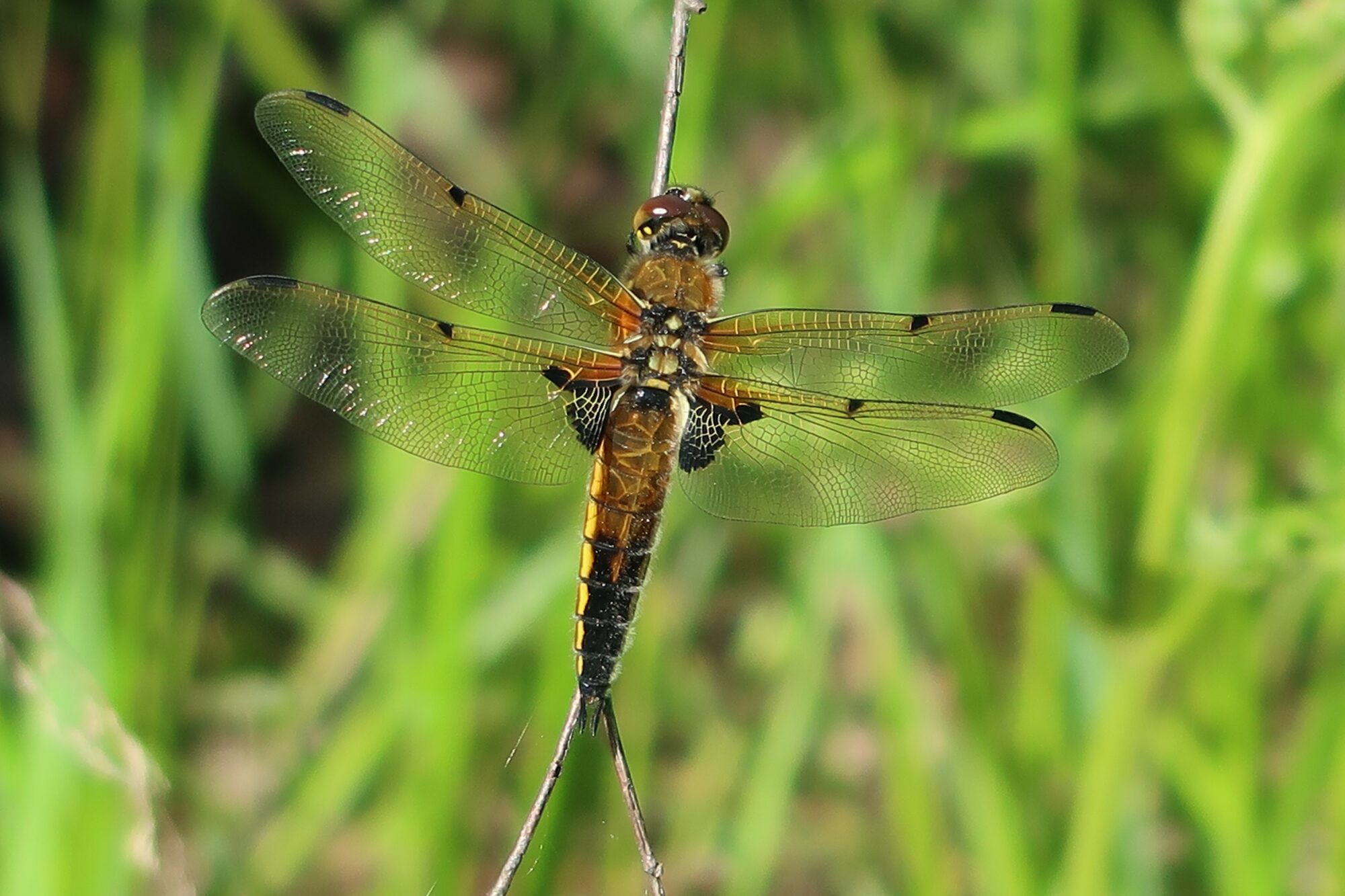 Valokuvaaja: Mari Ahtola