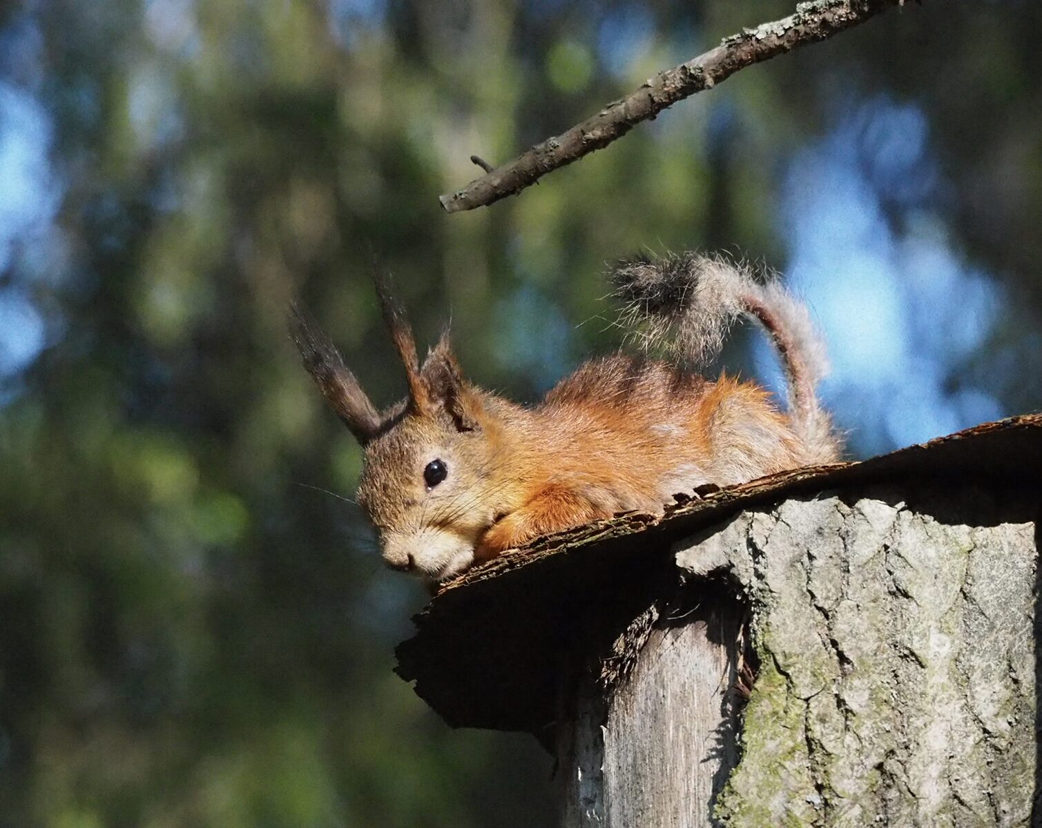 Valokuvaaja: Satu Lihr