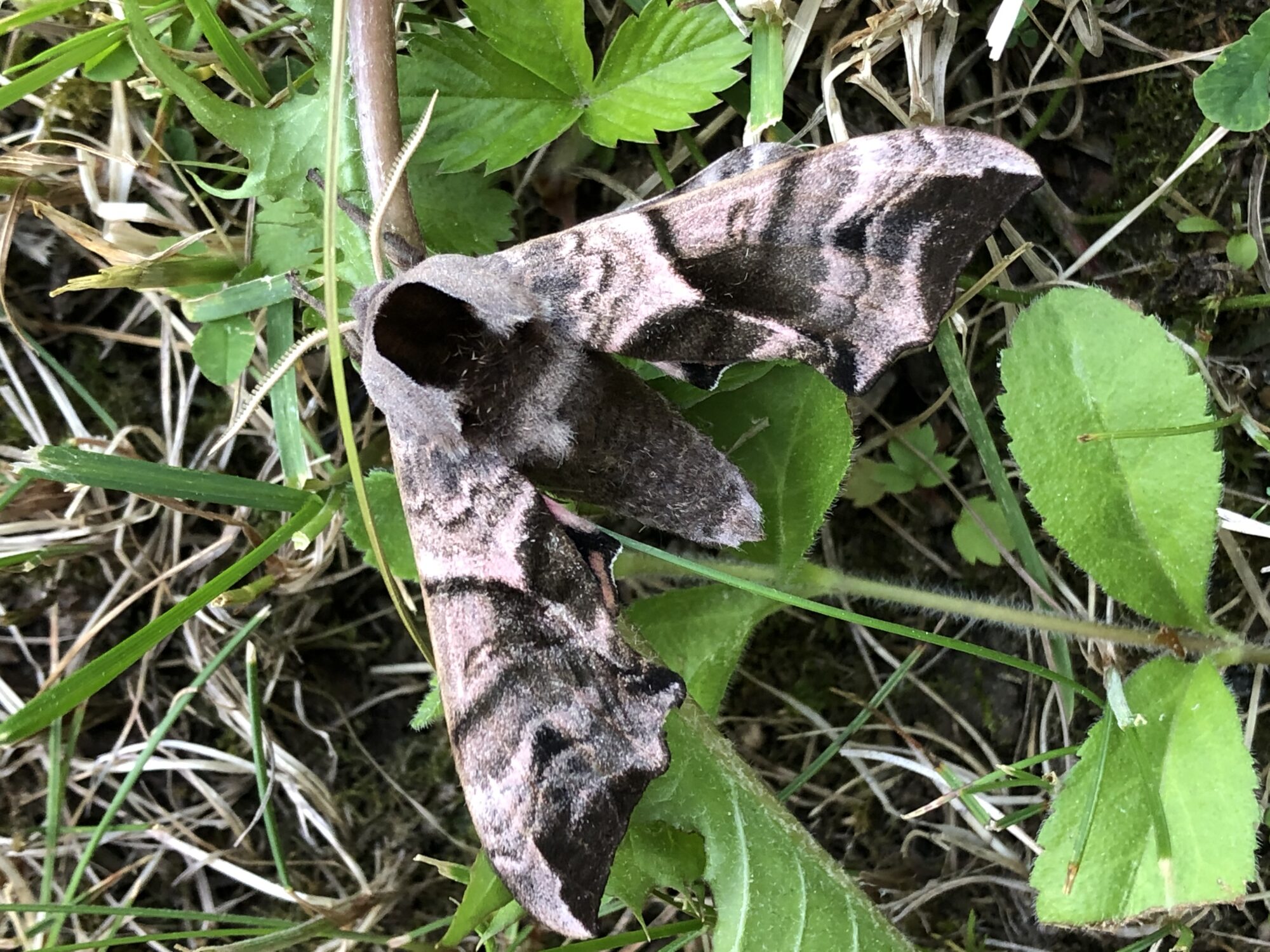 Valokuvaaja: Raija Käppi