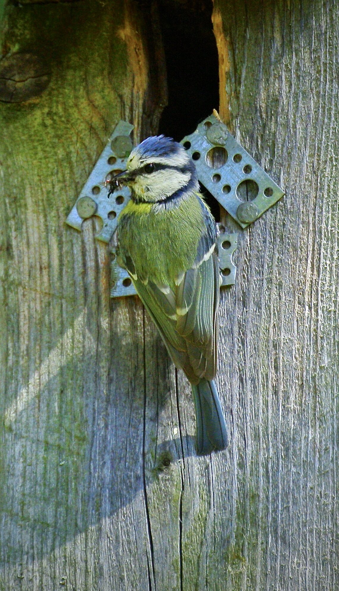 Valokuvaaja: Pauli Sarsama Valokuvaaja: Pauli Sarsama
