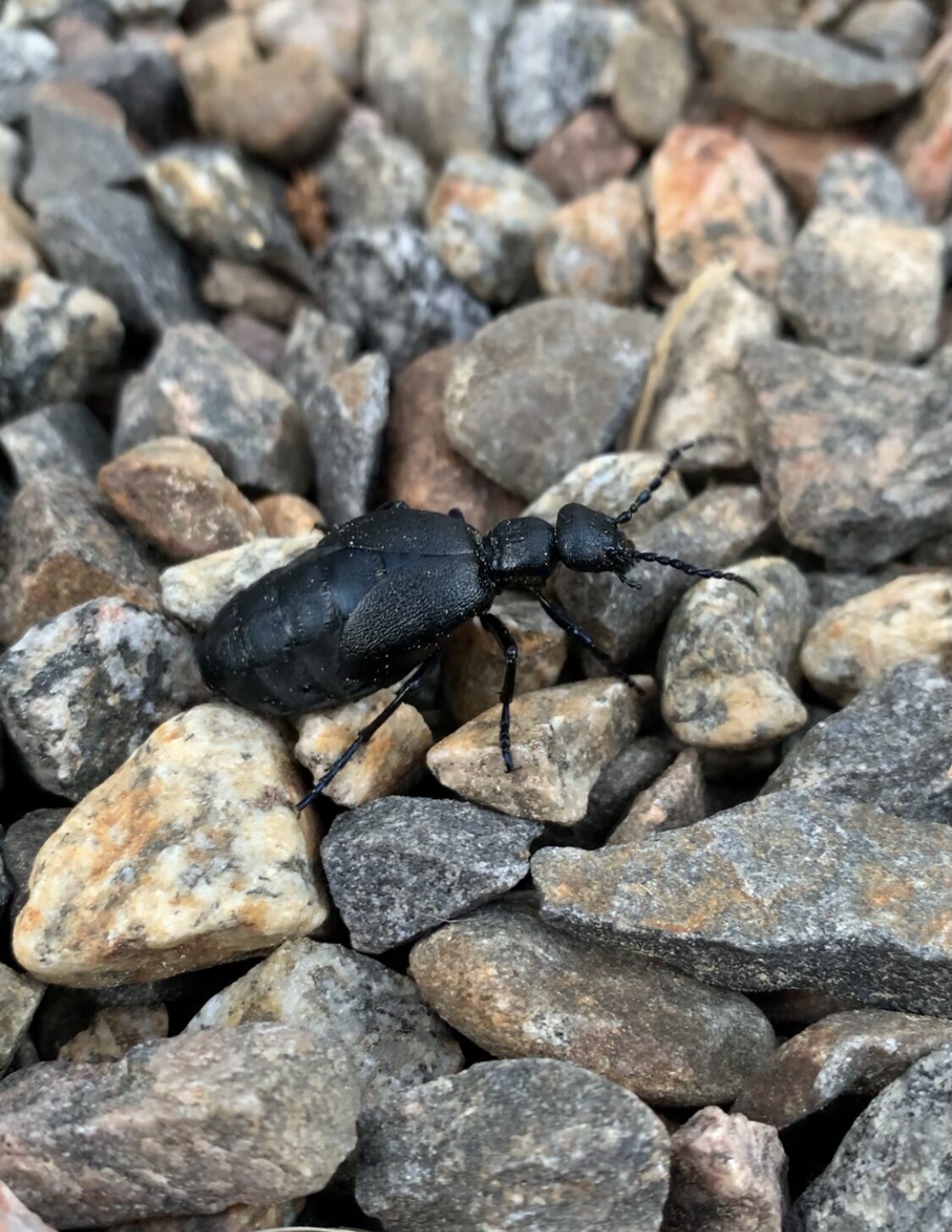 Valokuvaaja: Fanni Heikkinen