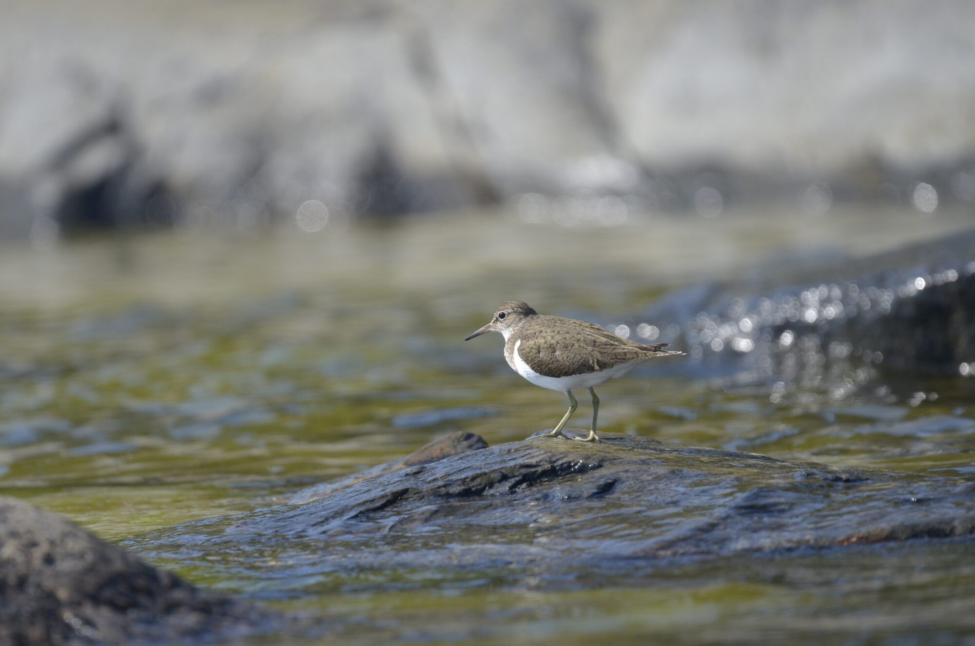 Valokuvaaja: Jouko Etelä