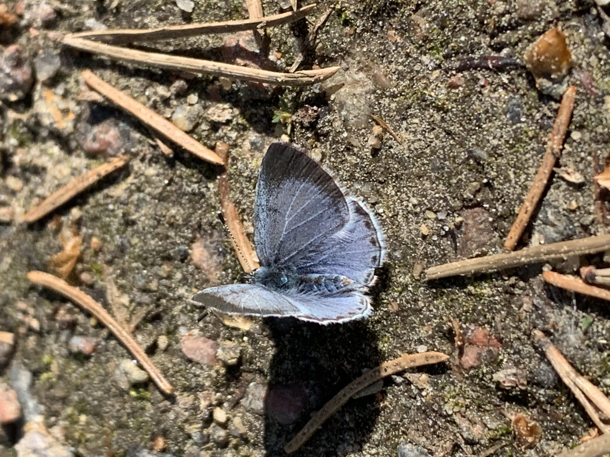 Valokuvaaja: Fanni Heikkinen Valokuvaaja: Fanni Heikkinen