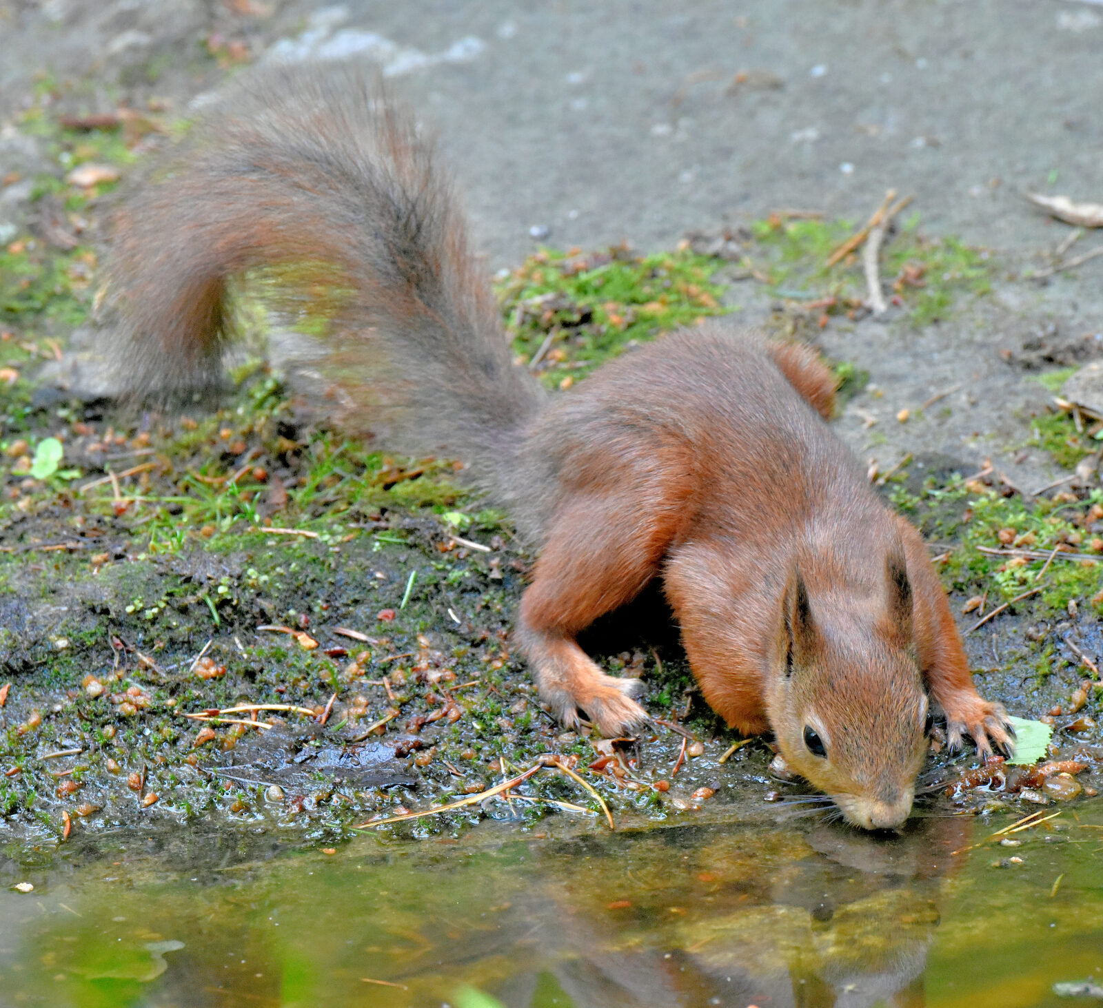 Valokuvaaja: Reijo Juurinen Valokuvaaja: Reijo Juurinen