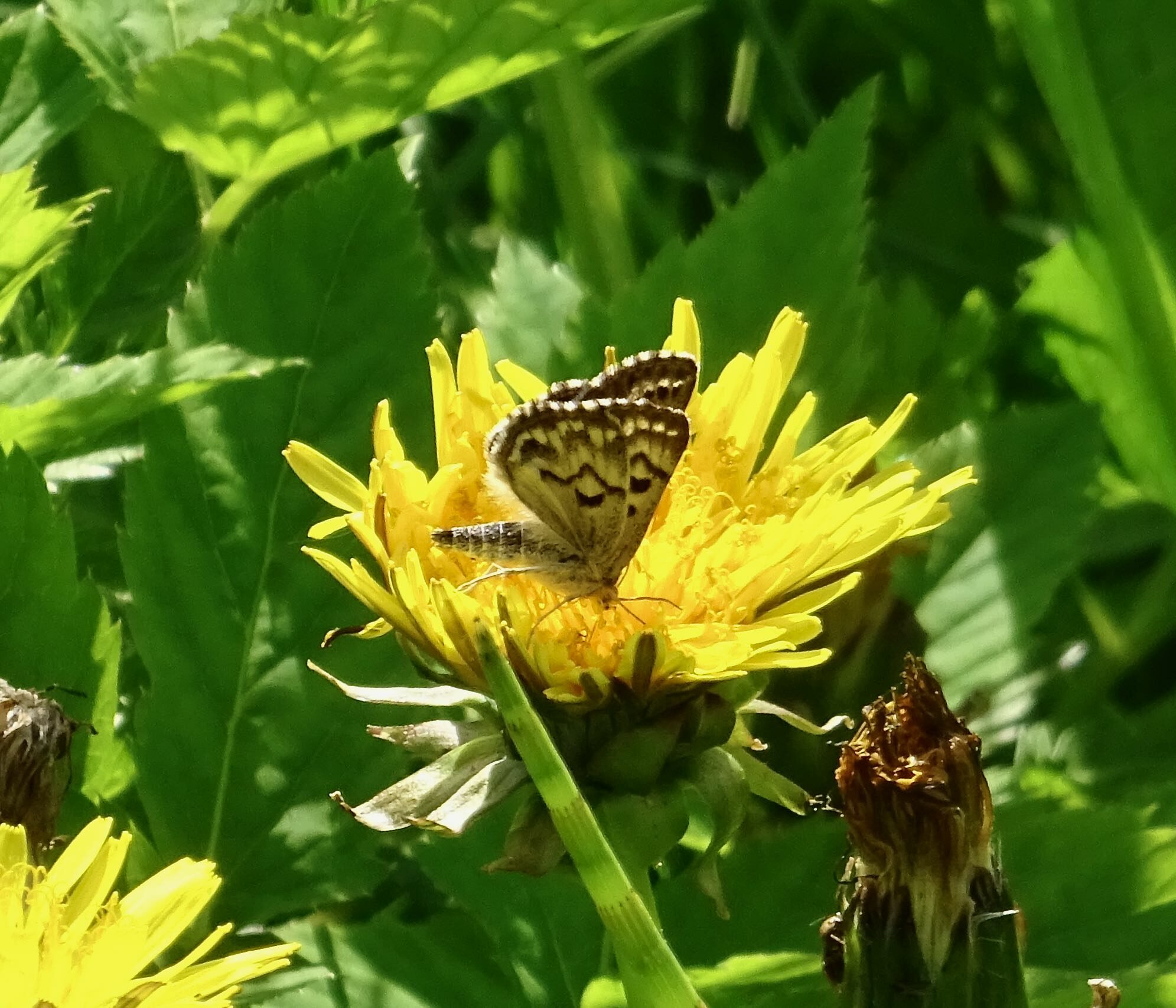 Valokuvaaja: Liisa Niiva-Korpela