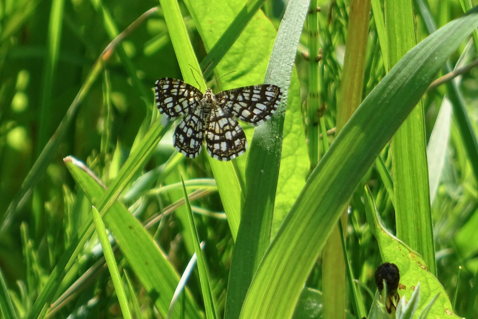Valokuvaaja: Liisa Niiva-Korpela