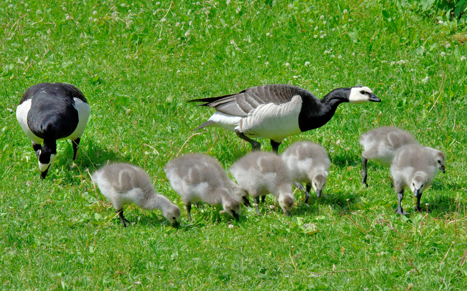 Valokuvaaja: Reijo Juurinen