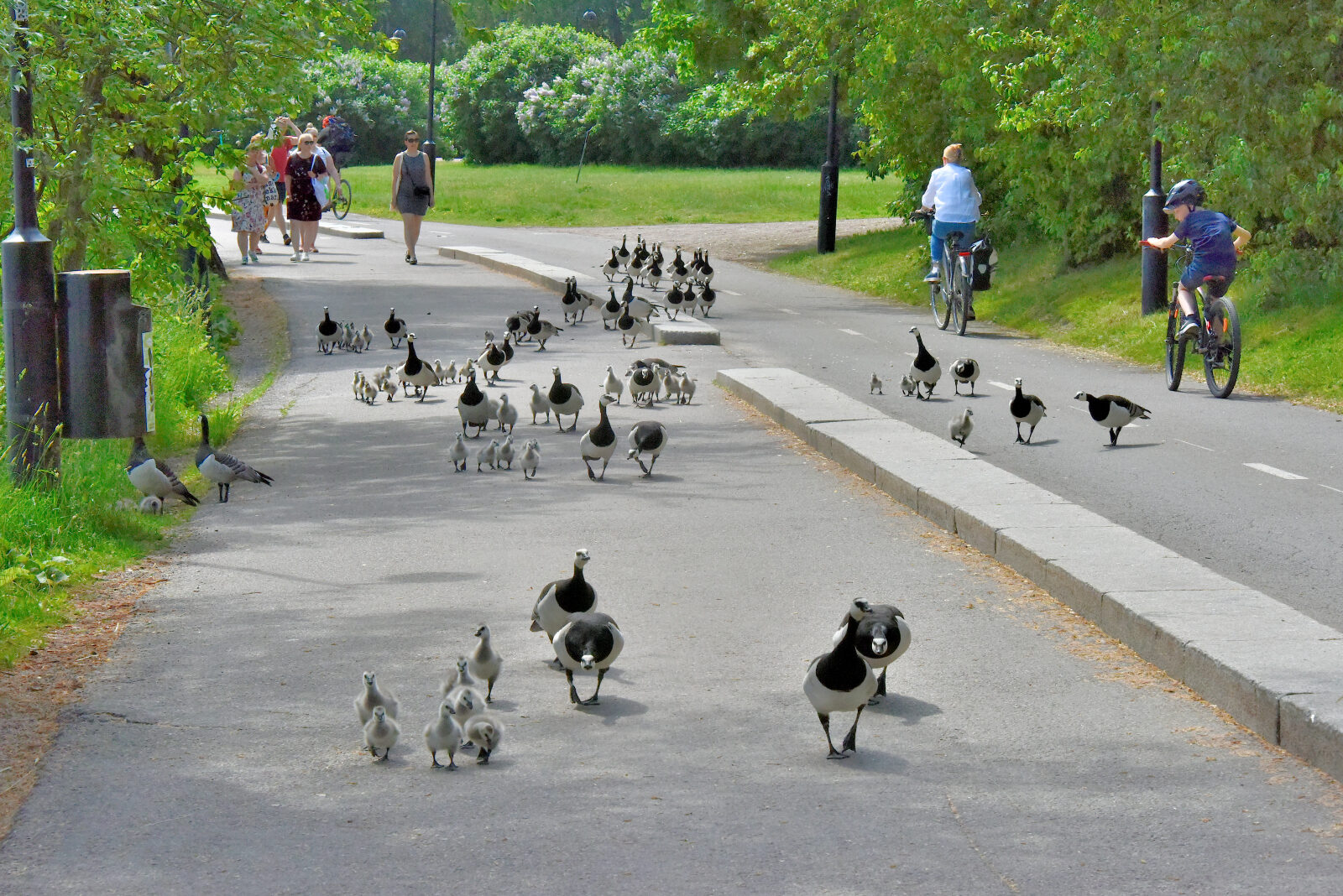Valokuvaaja: Reijo Juurinen