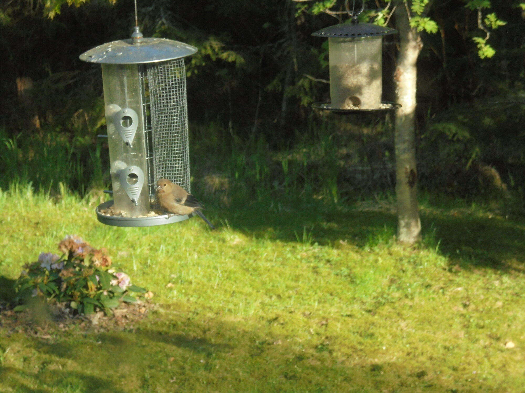 Valokuvaaja: Sari Kippo