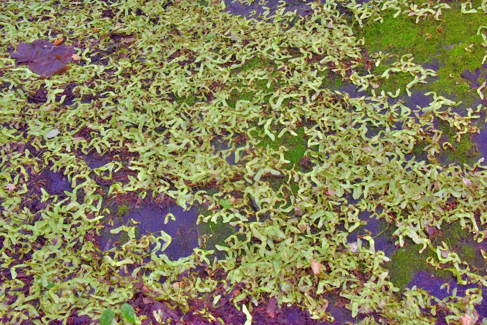 Valokuvaaja: Reijo Juurinen