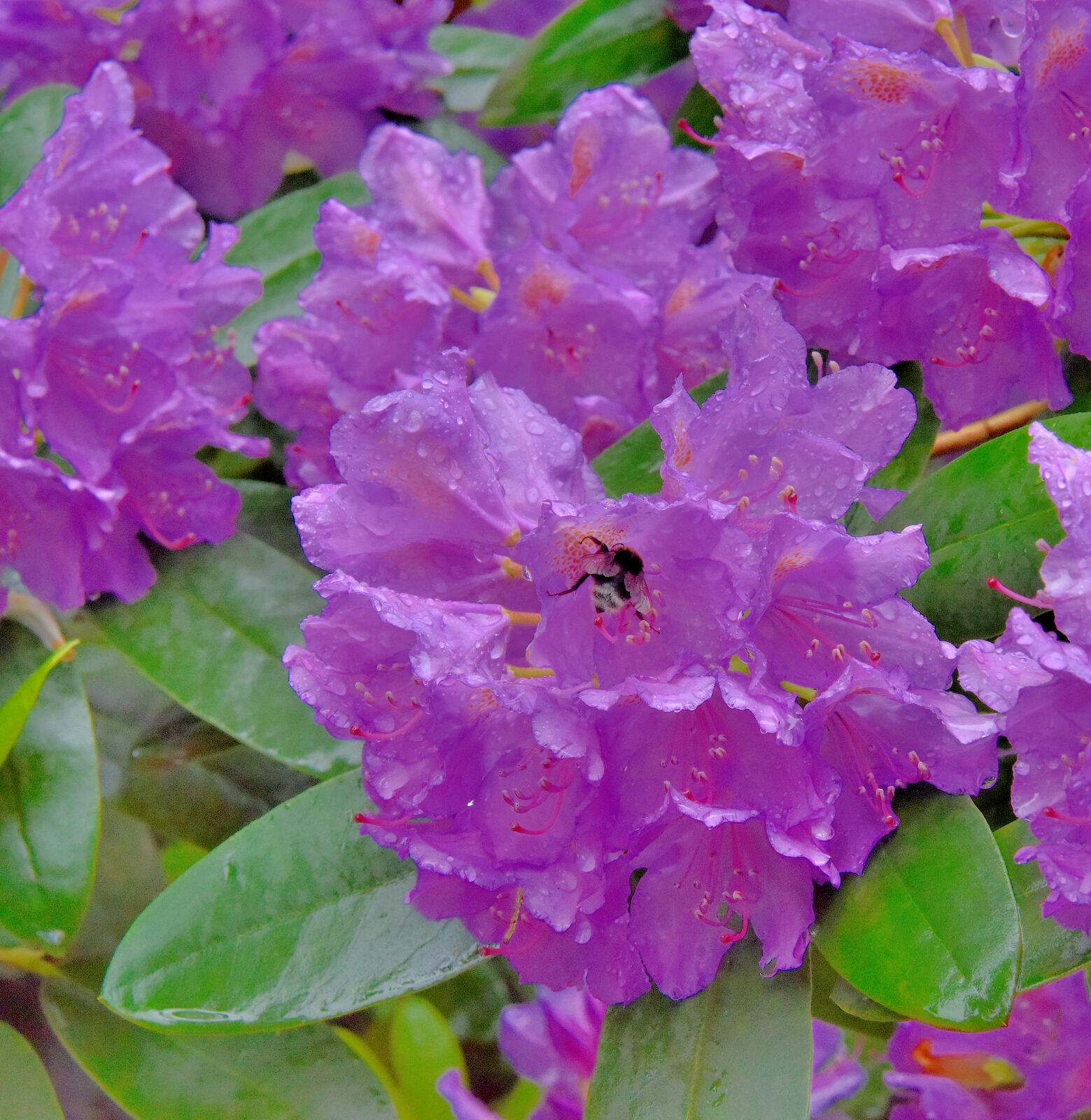 Valokuvaaja: Reijo Juurinen