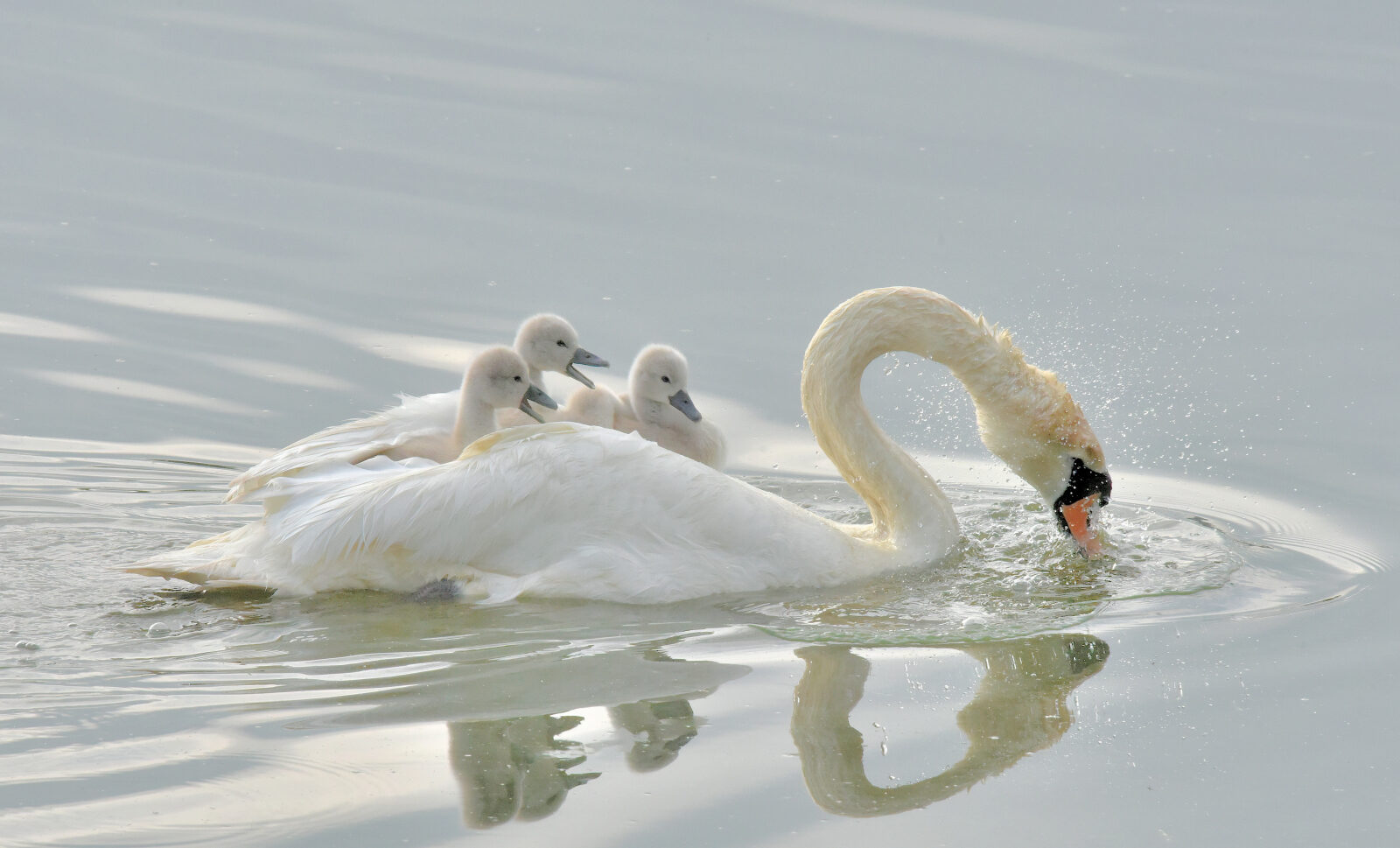 Valokuvaaja: Reijo Juurinen