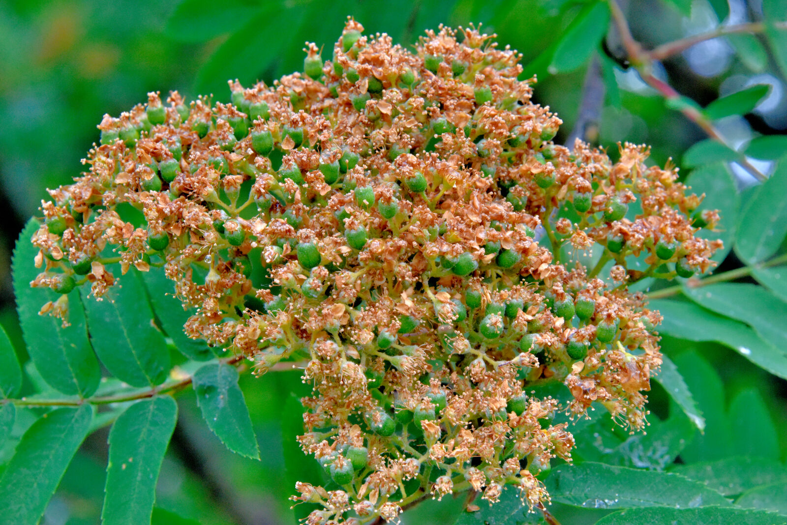 Valokuvaaja: Reijo Juurinen