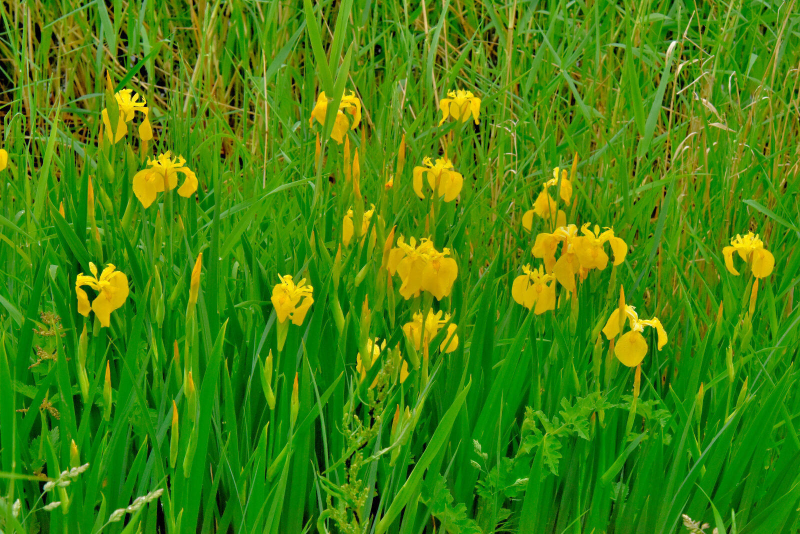 Valokuvaaja: Reijo Juurinen