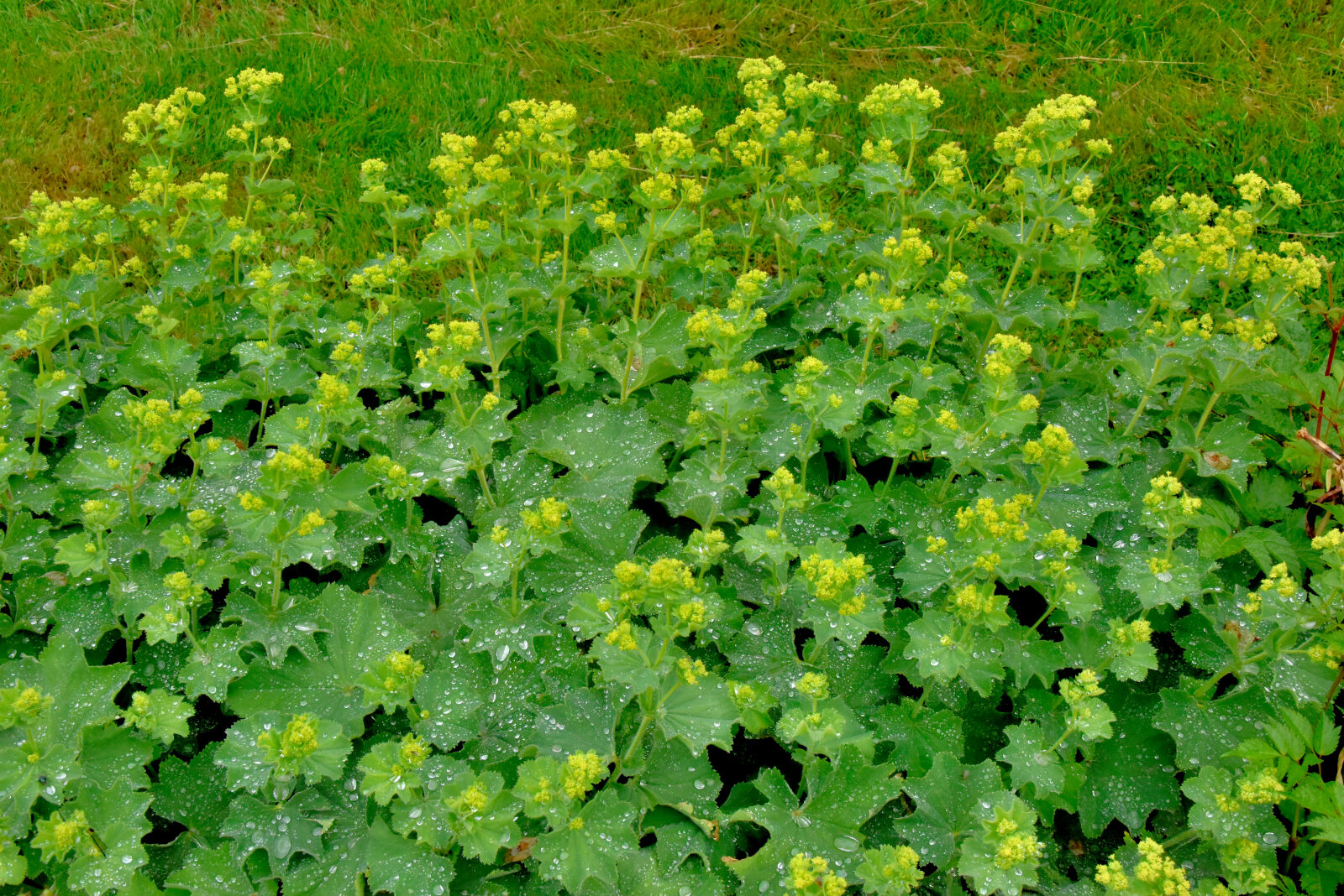 Valokuvaaja: Reijo Juurinen