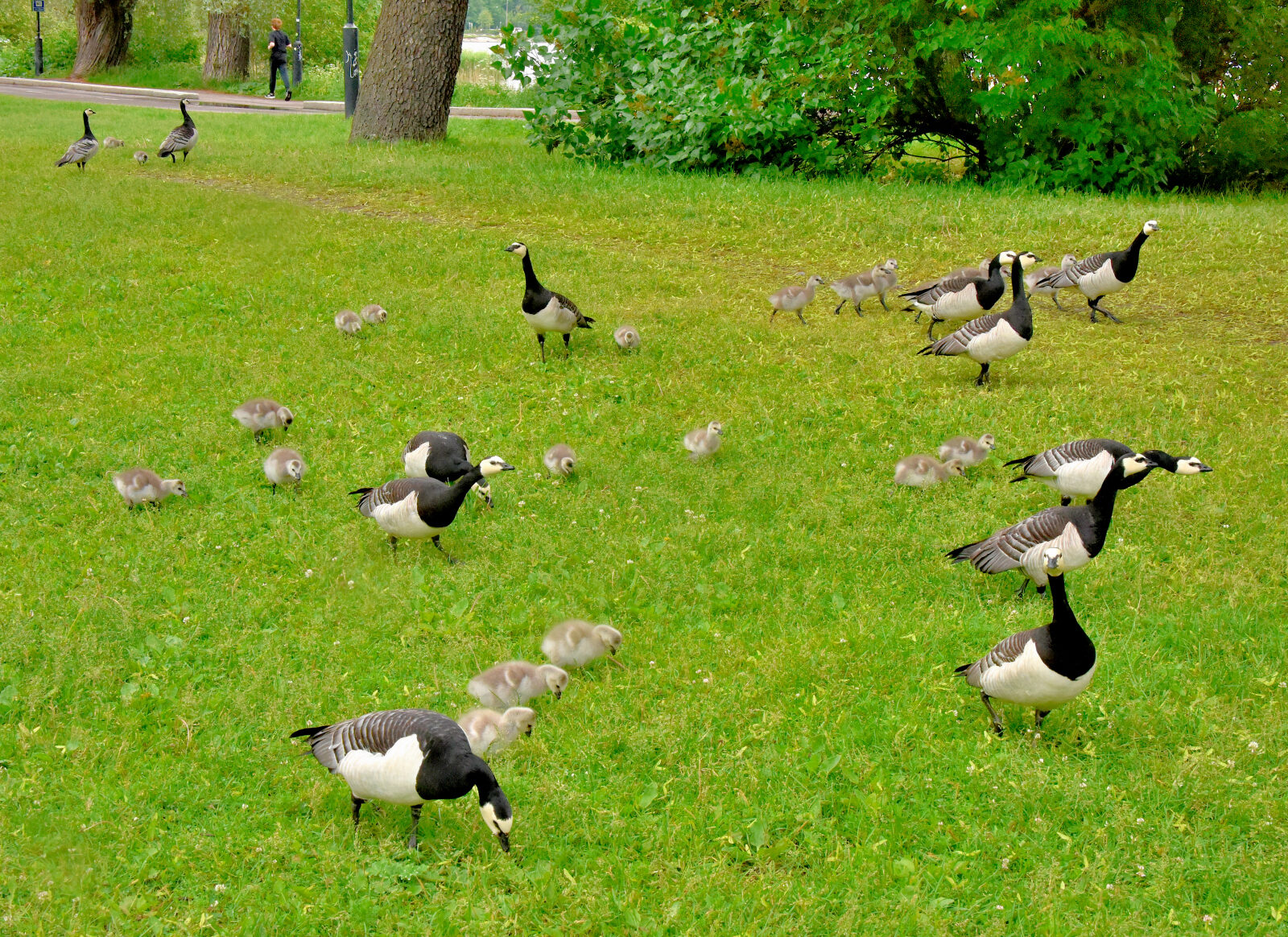 Valokuvaaja: Reijo Juurinen