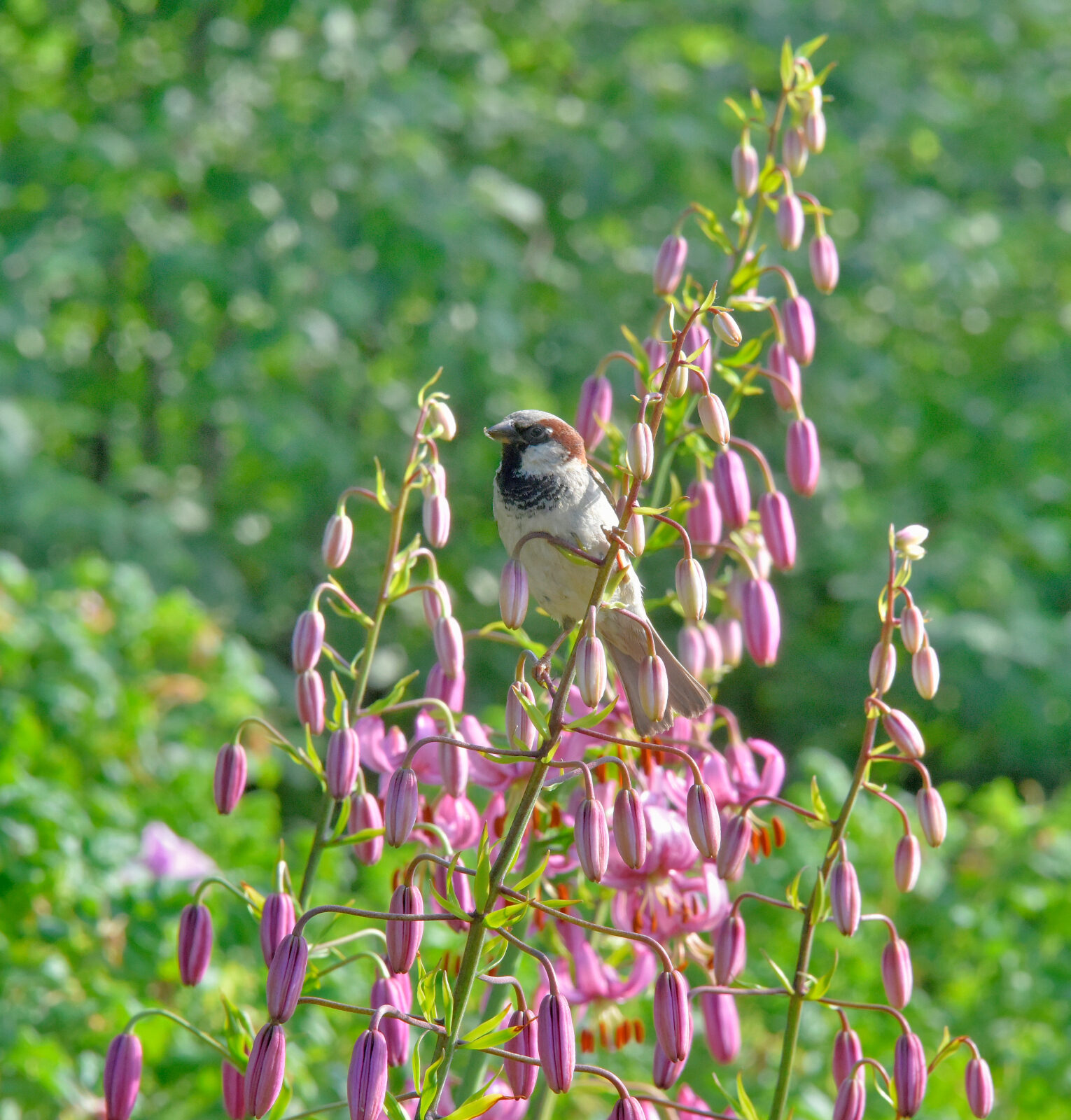 Valokuvaaja: Reijo Juurinen