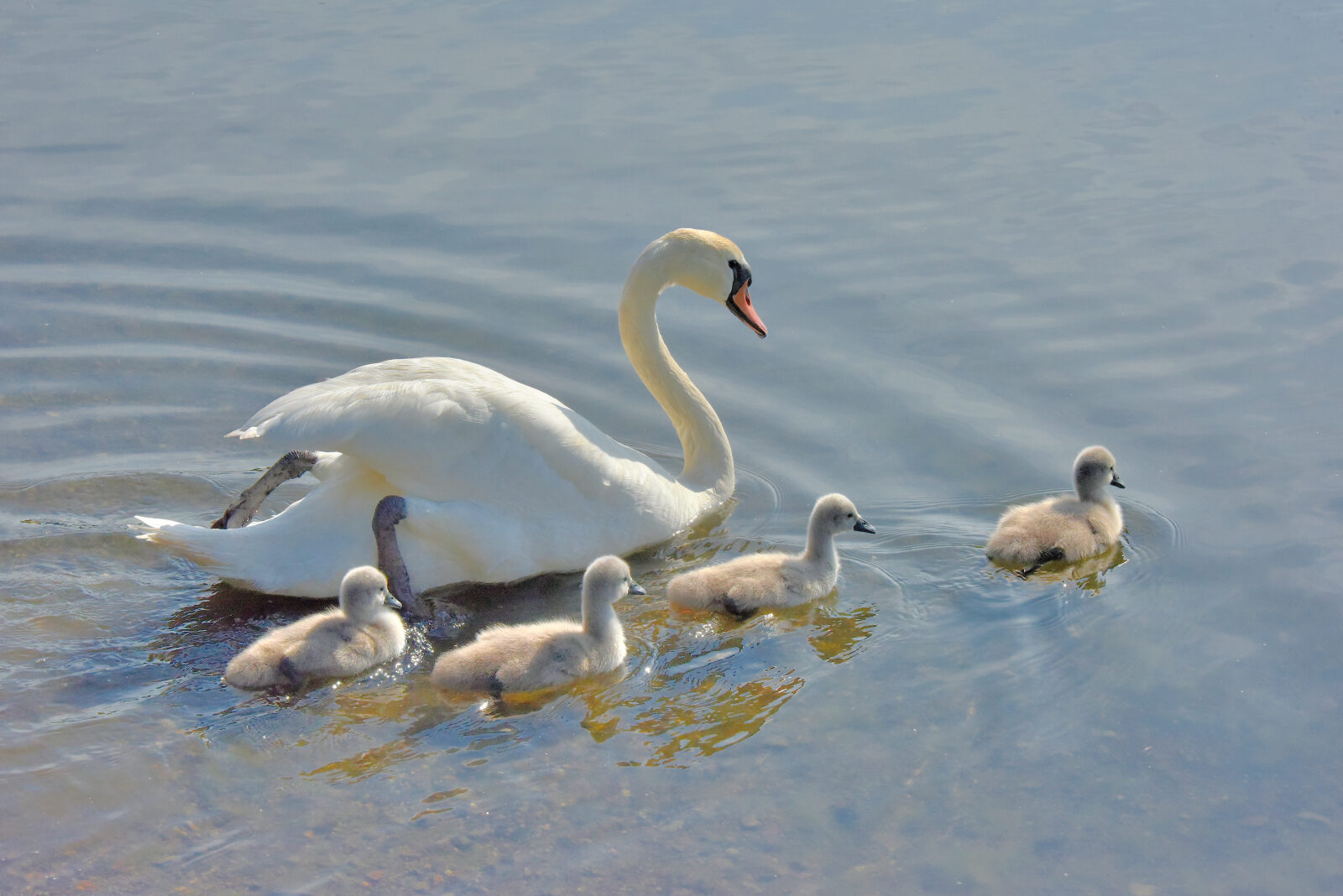 Valokuvaaja: Reijo Juurinen