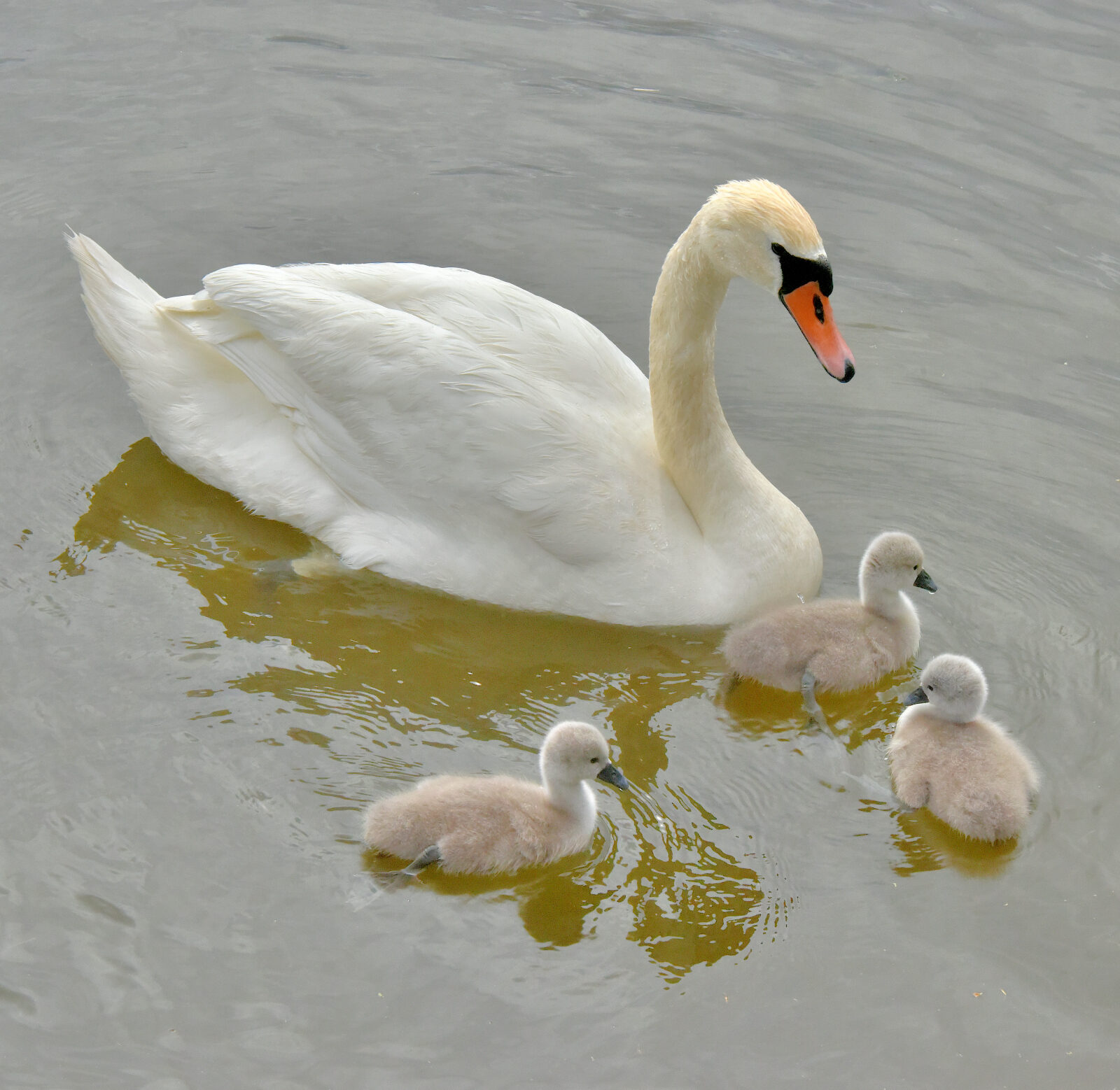 Valokuvaaja: Reijo Juurinen