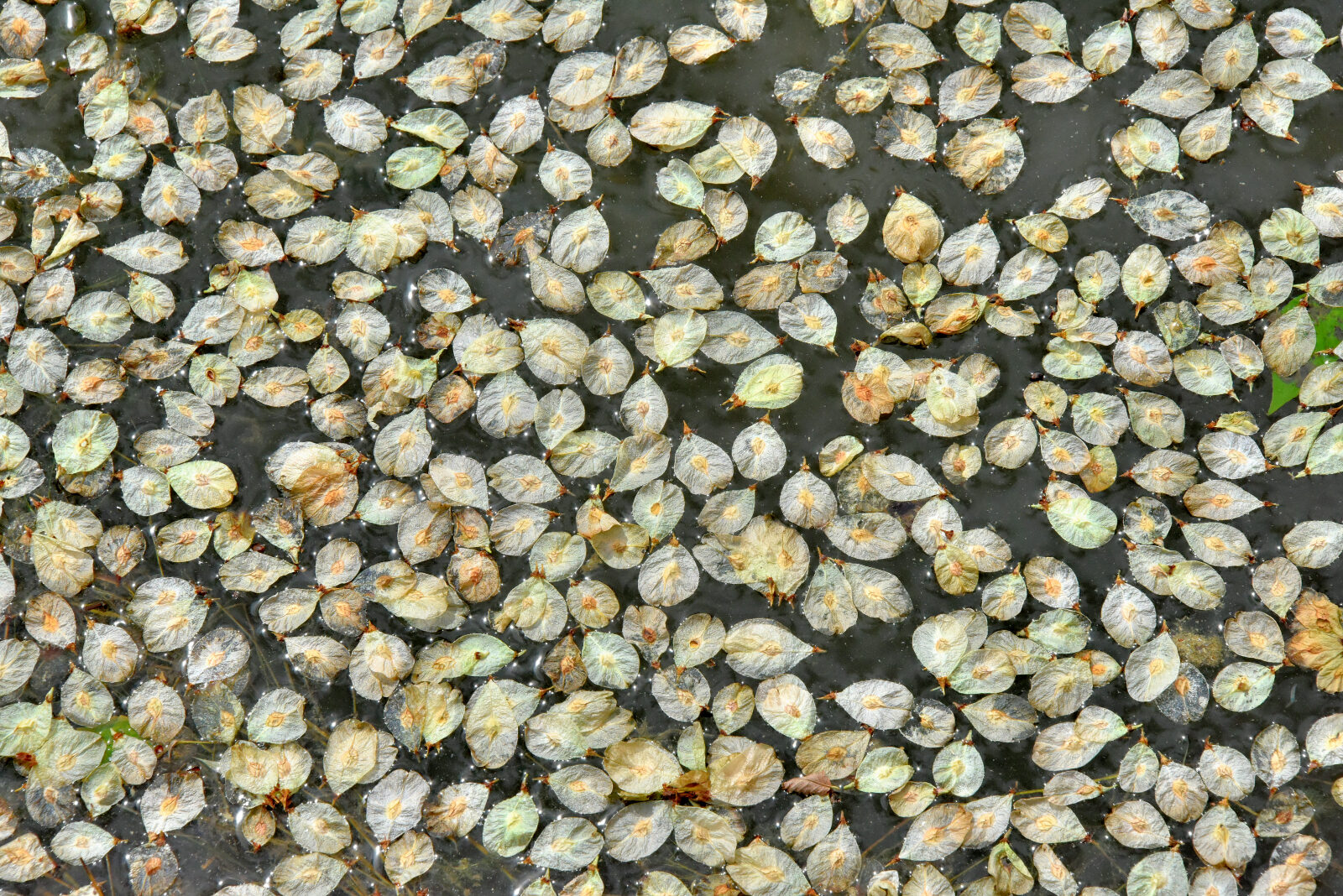 Valokuvaaja: Reijo Juurinen