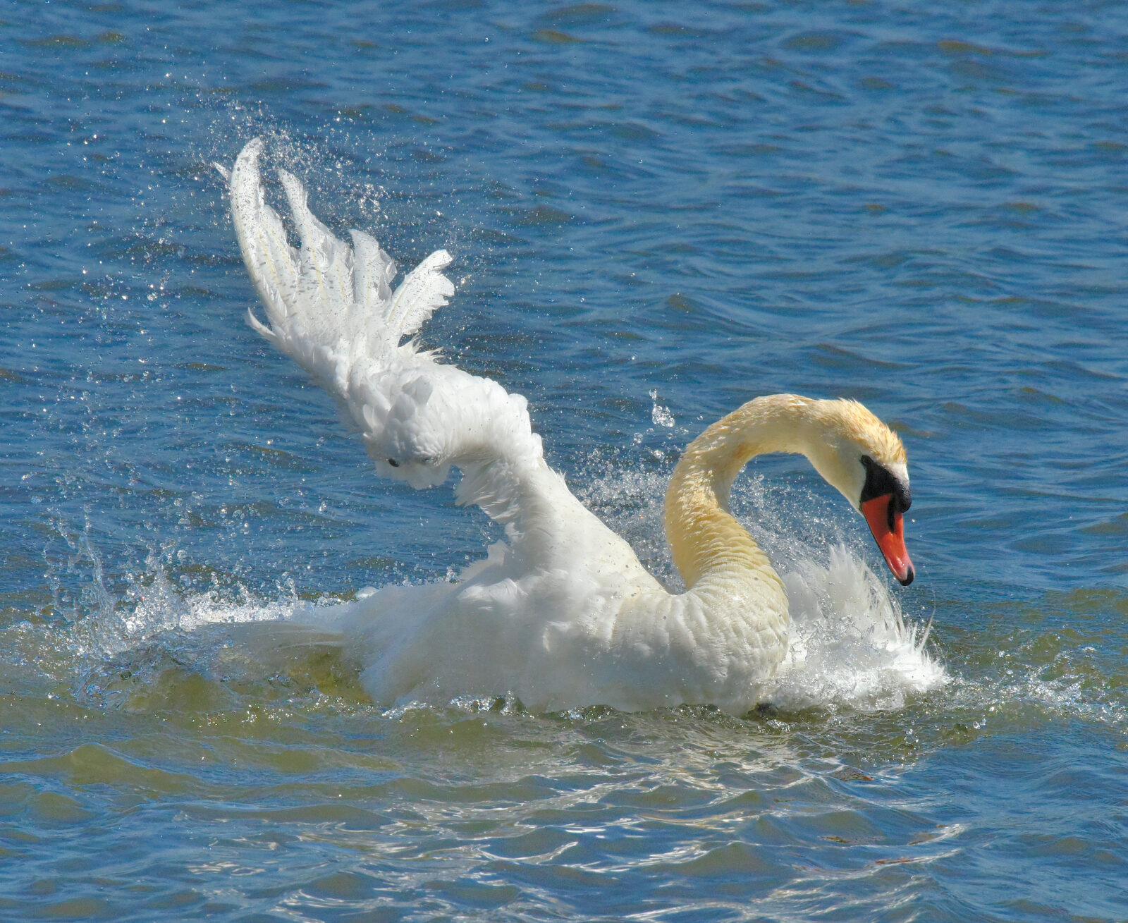 Valokuvaaja: Reijo Juurinen